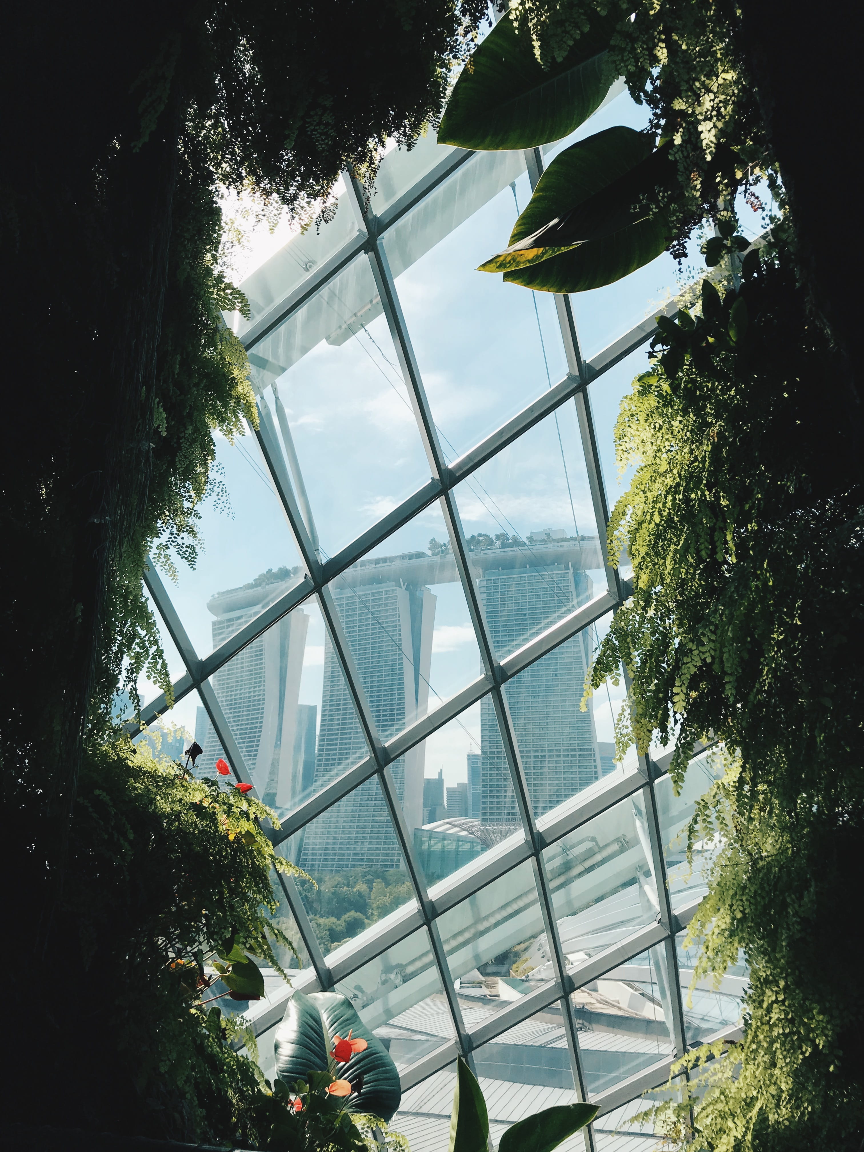 green-leafed plants, tree, architecture, built structure, day