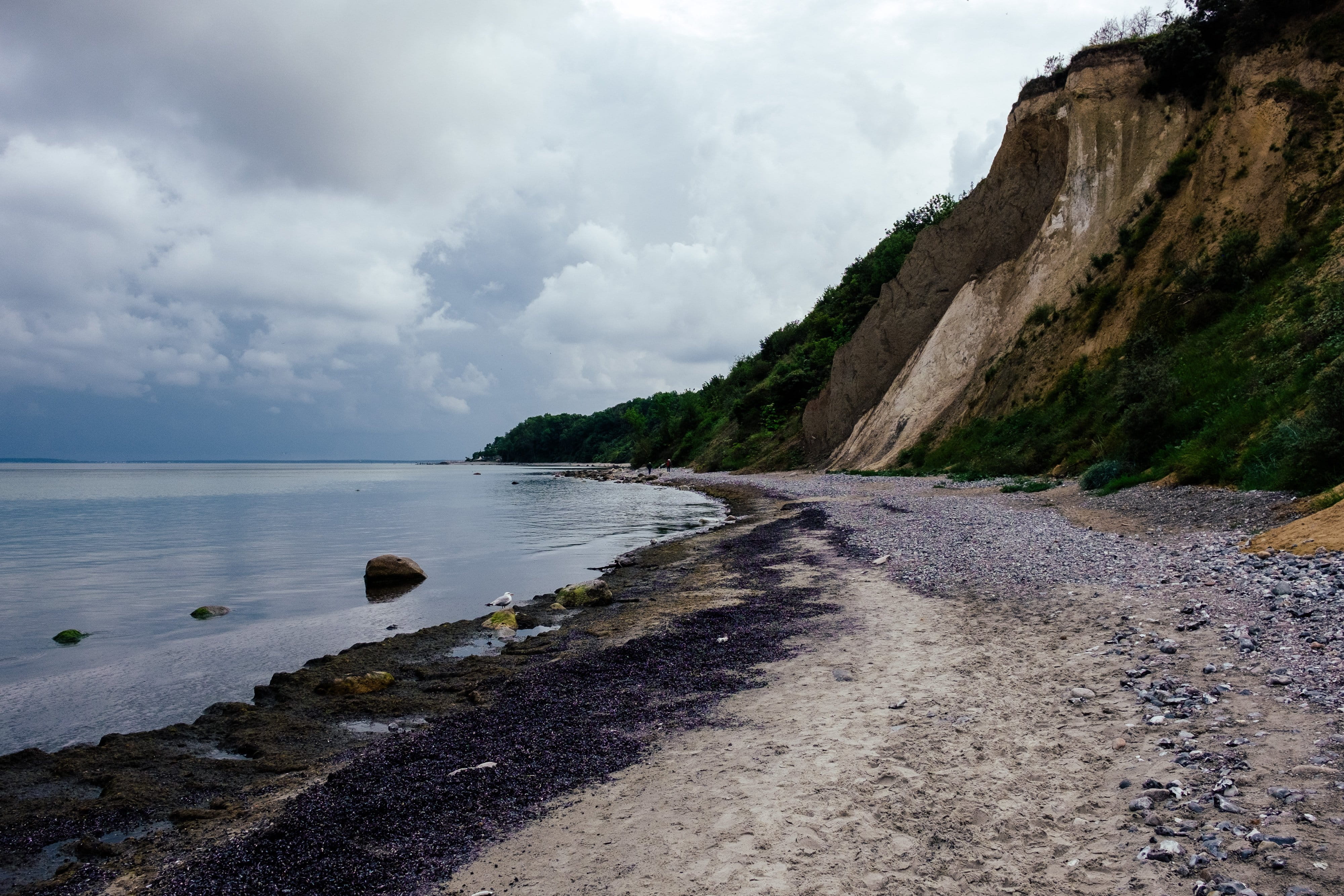 Chalk cliffs, background, beach, beautiful, blue, coast, coastline