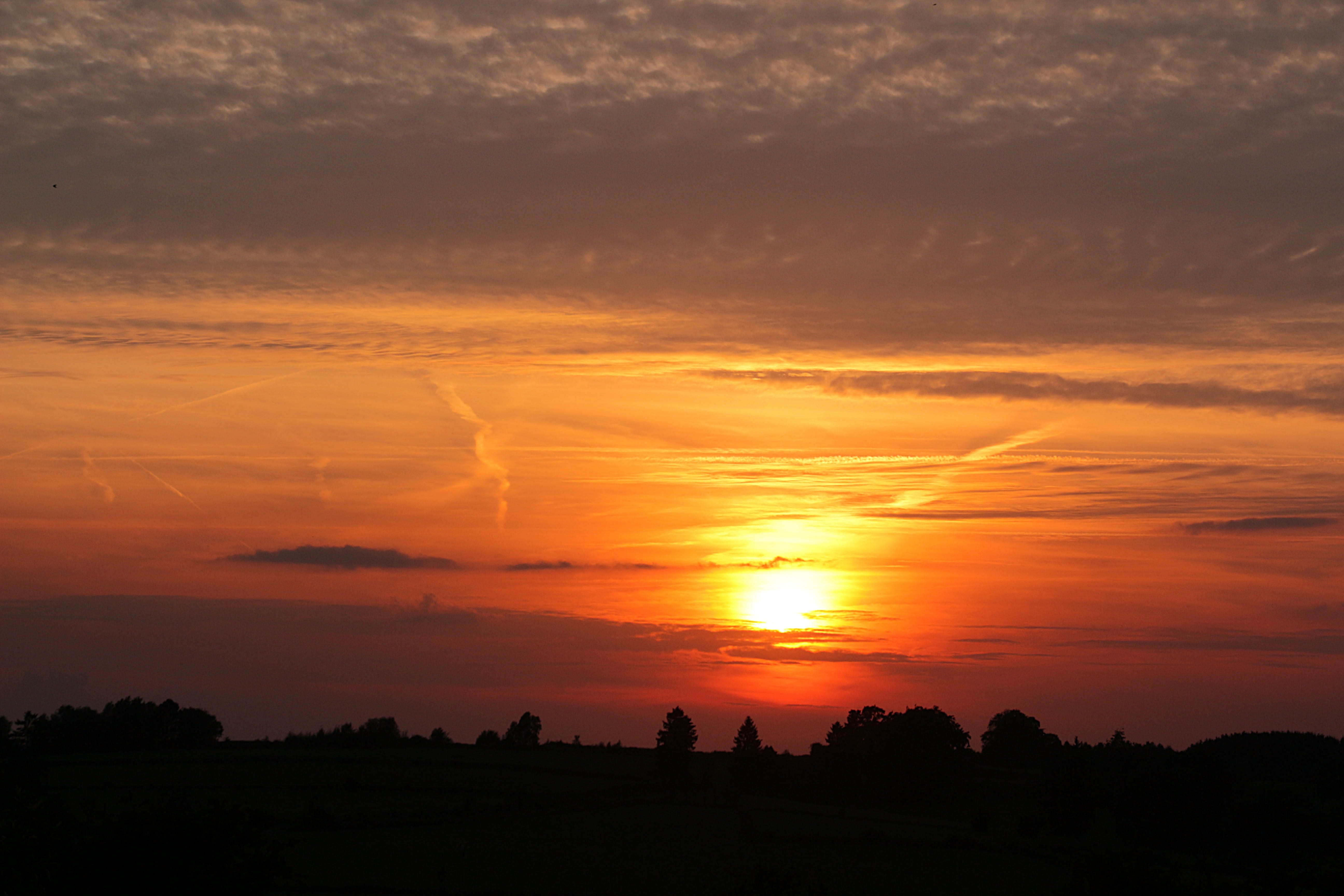 Orange Cloudy Sunset over Tree Silhouettes, clouds, dawn, nature