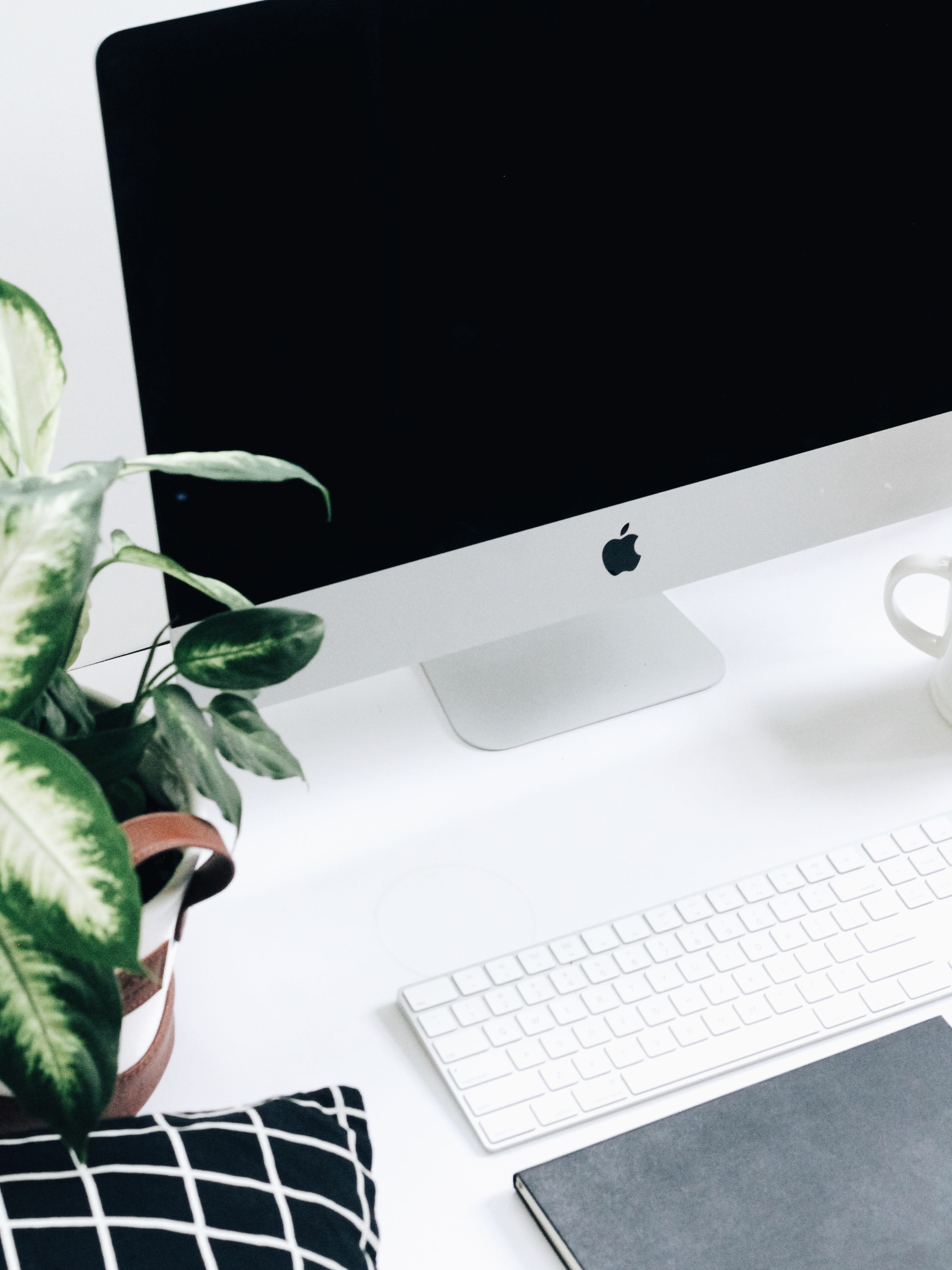 silver iMac, technology, computer, table, leaf, connection, wireless technology