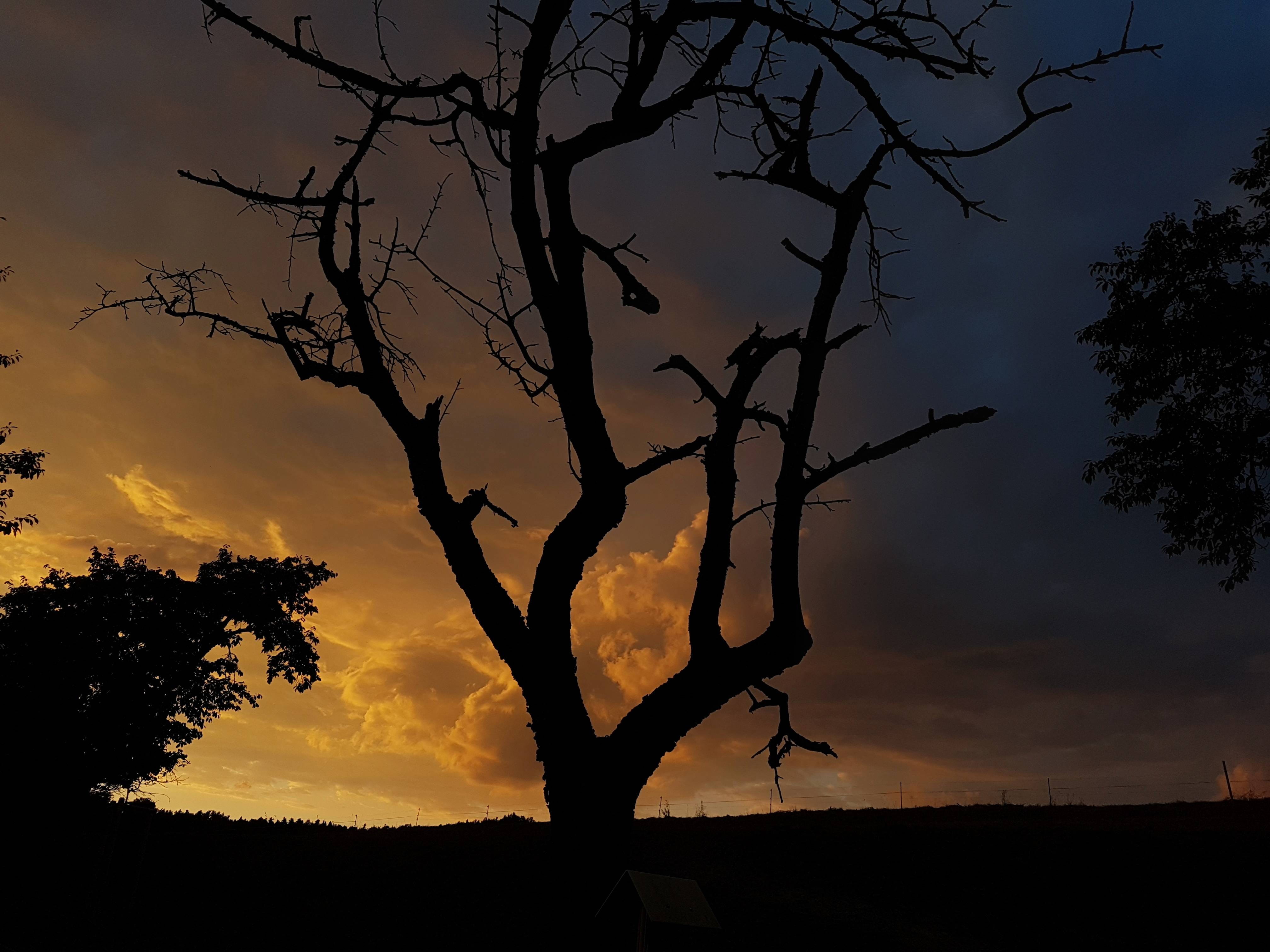 germany, struppen, thürmsdorf, clouds, sky, sun, shadow, night