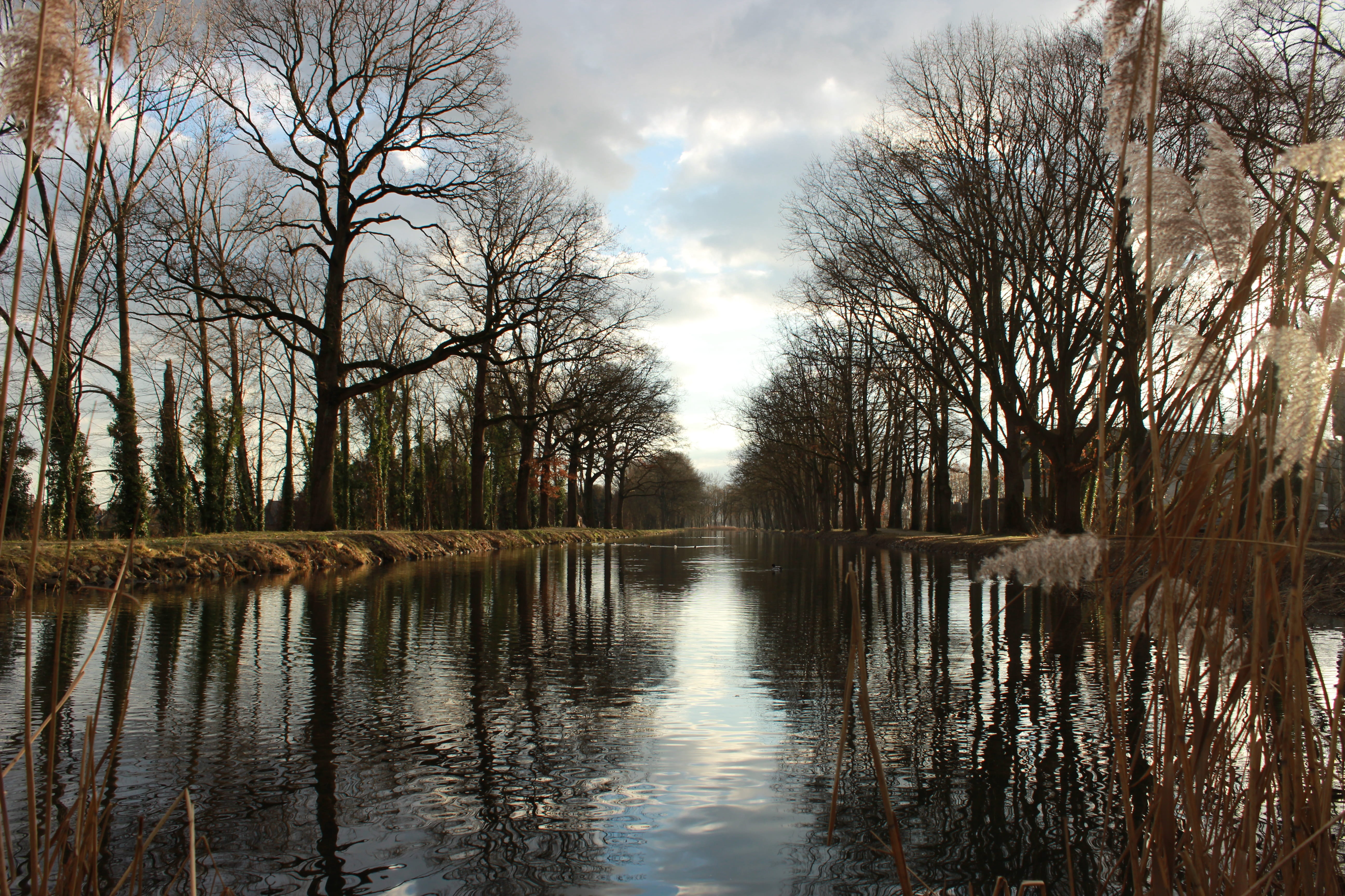 water, landscape, waters, clouds, reflection, idyllic, flip
