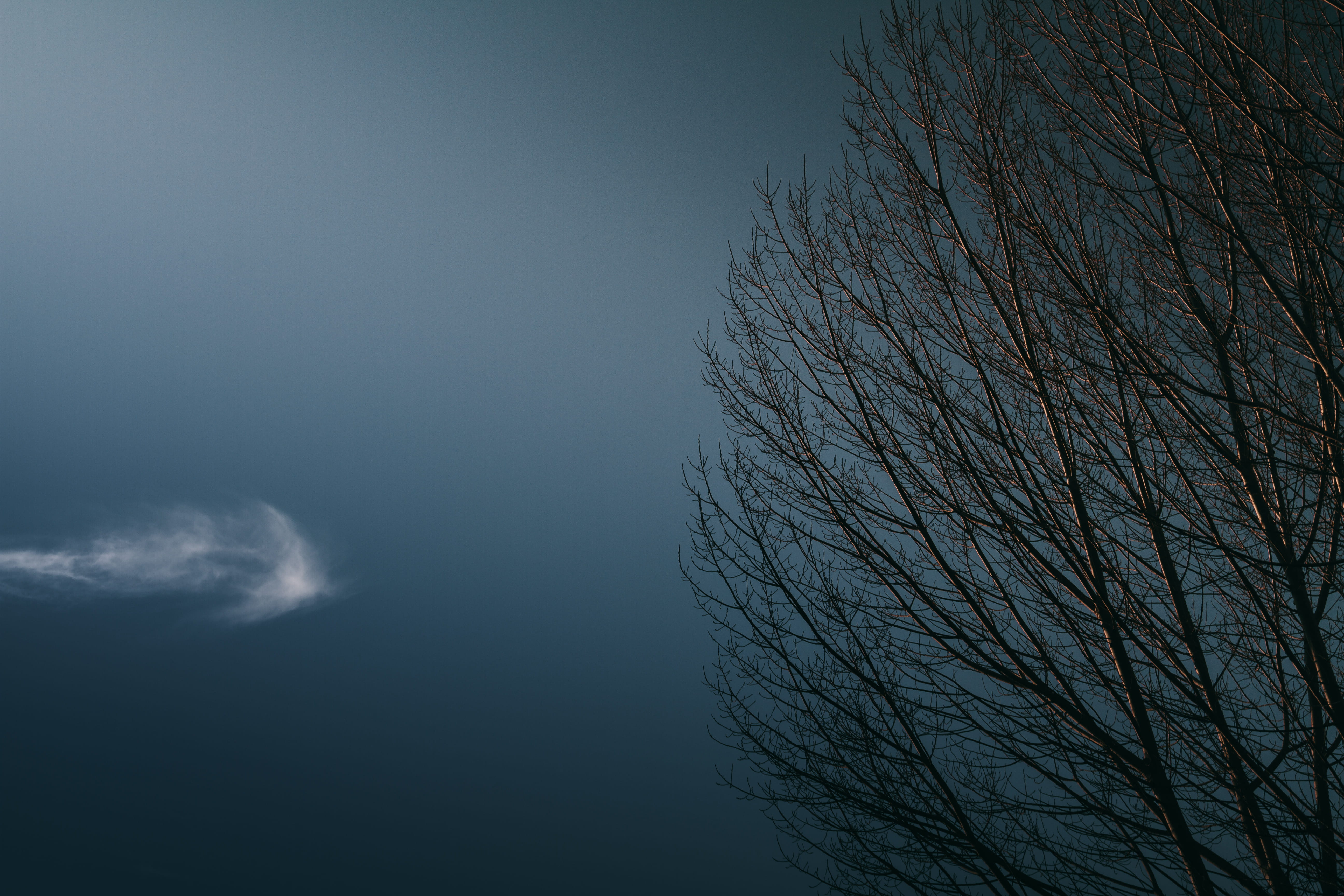 leafless tree, nature, outdoors, weather, outer space, night