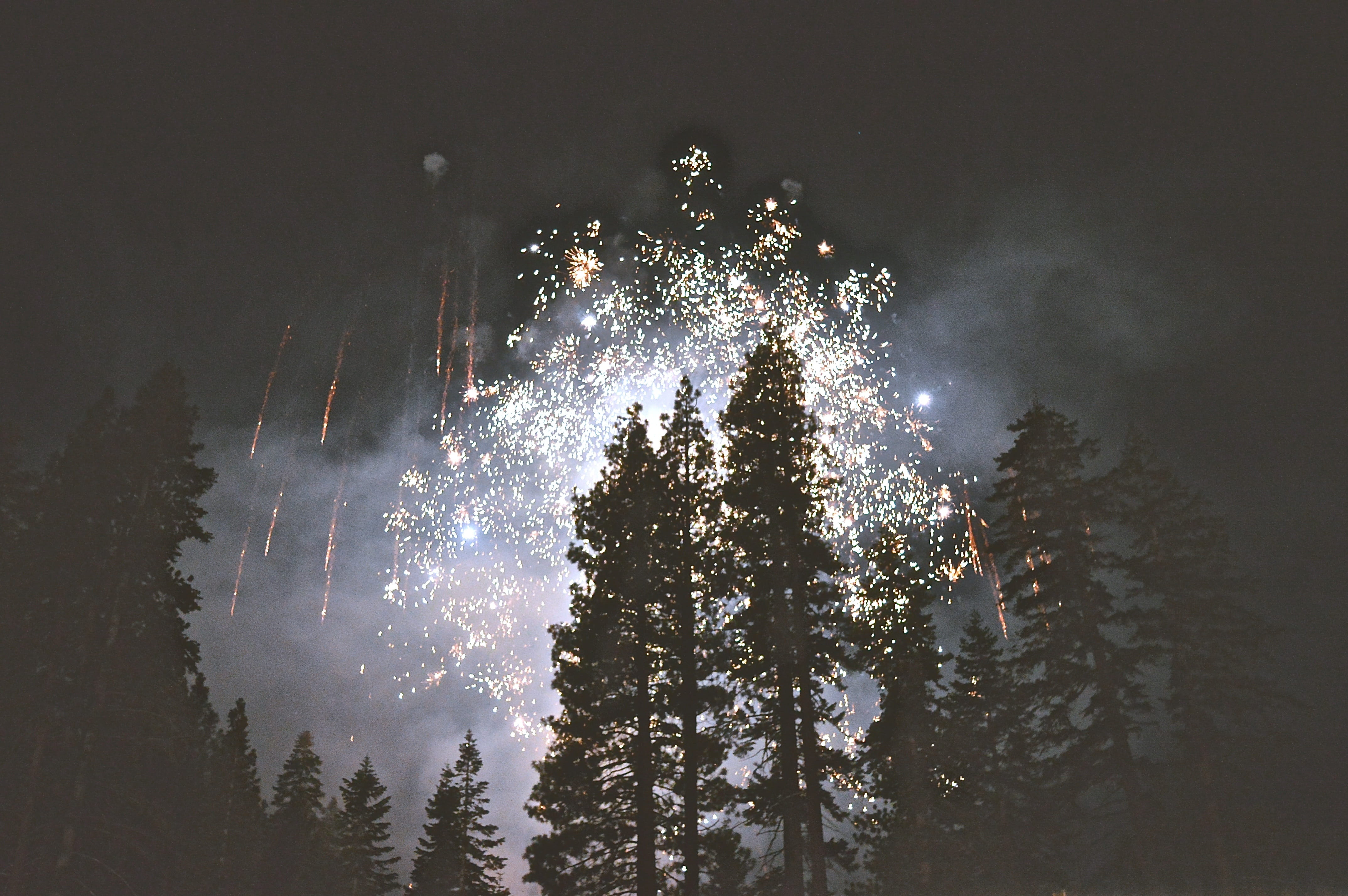 fireworks, woods, light, lightning, color, activity, happy
