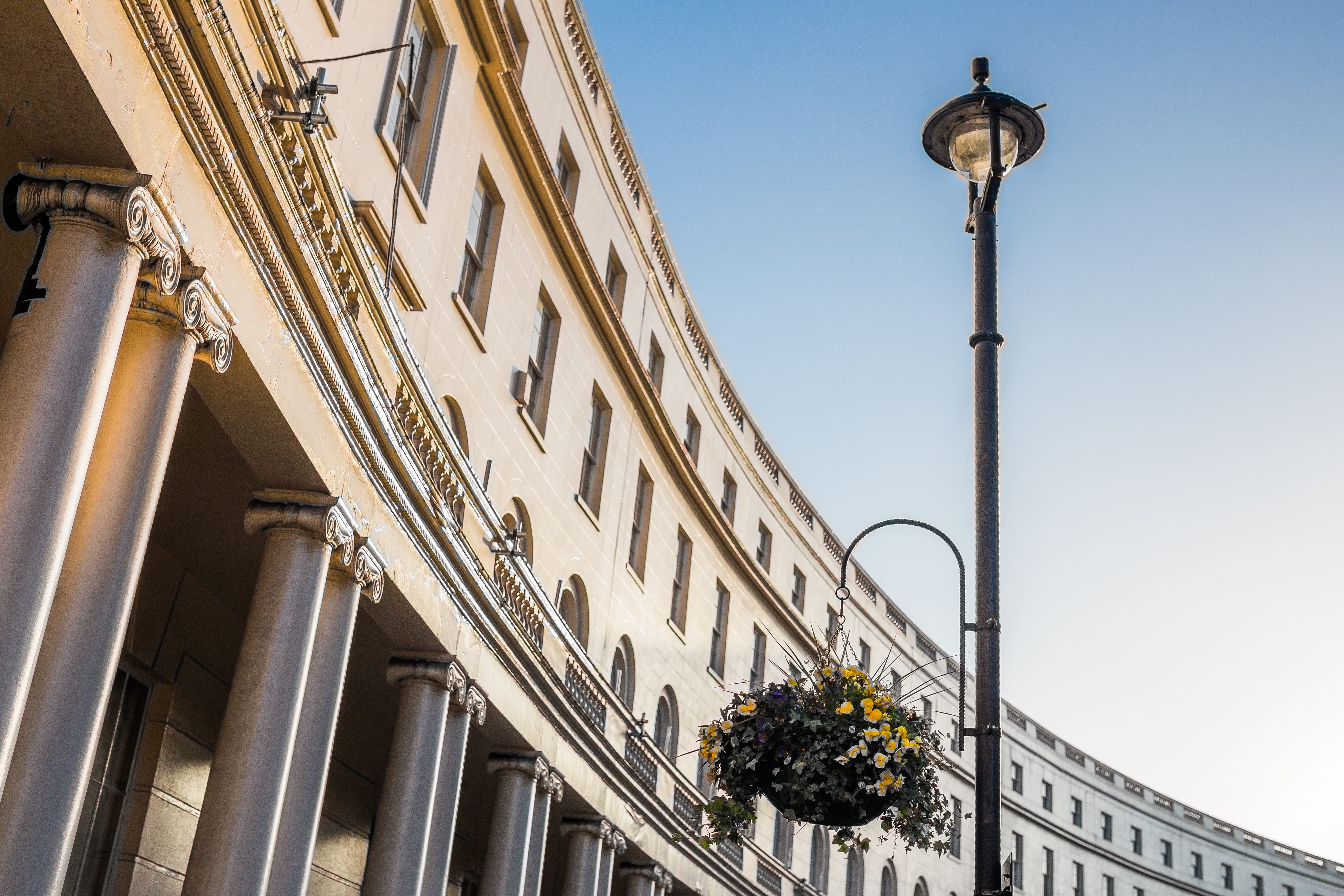 building, engineering, architecture, construction, flowers