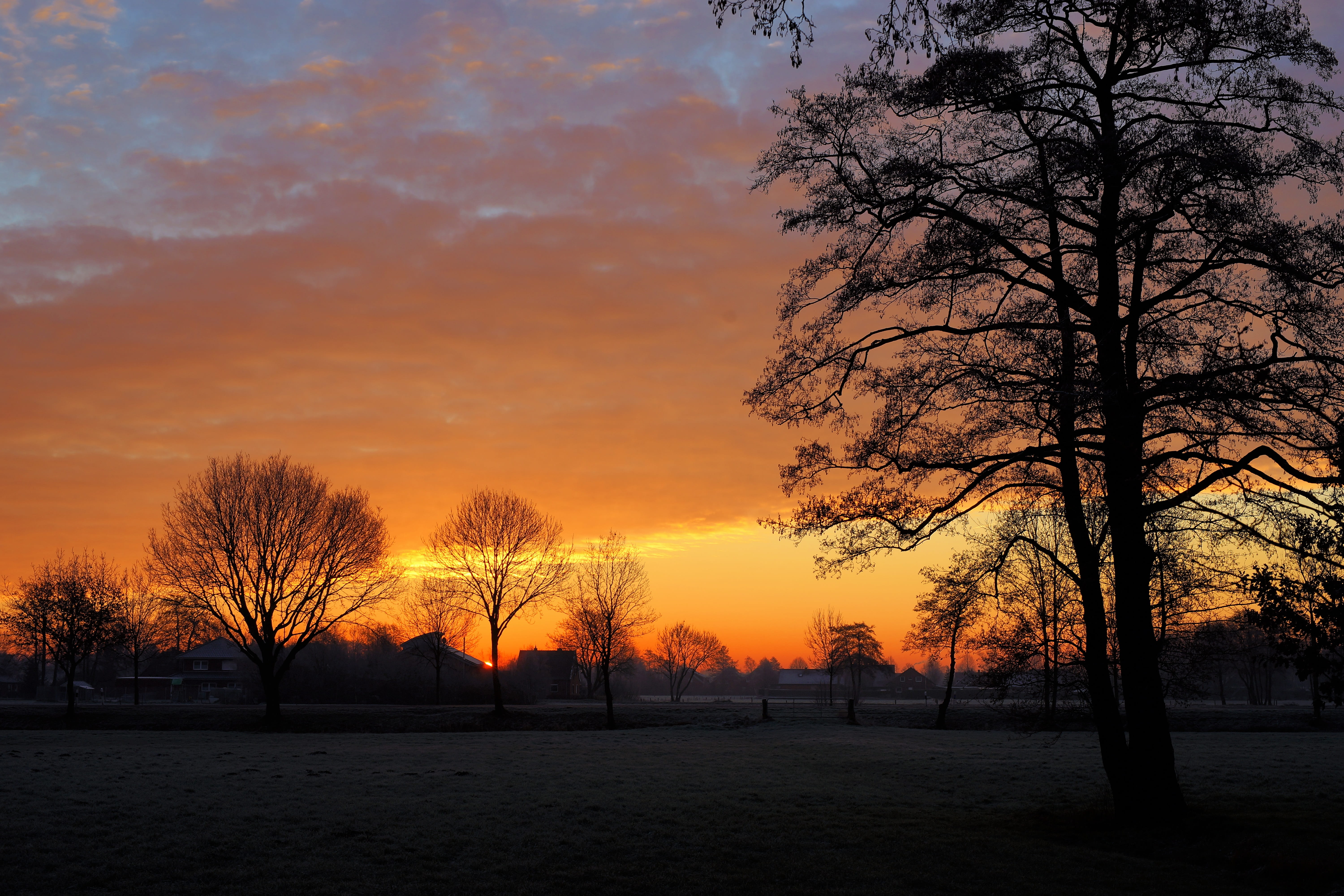 sunrise, winter, cold, landscape, nature, sky, trees, clouds
