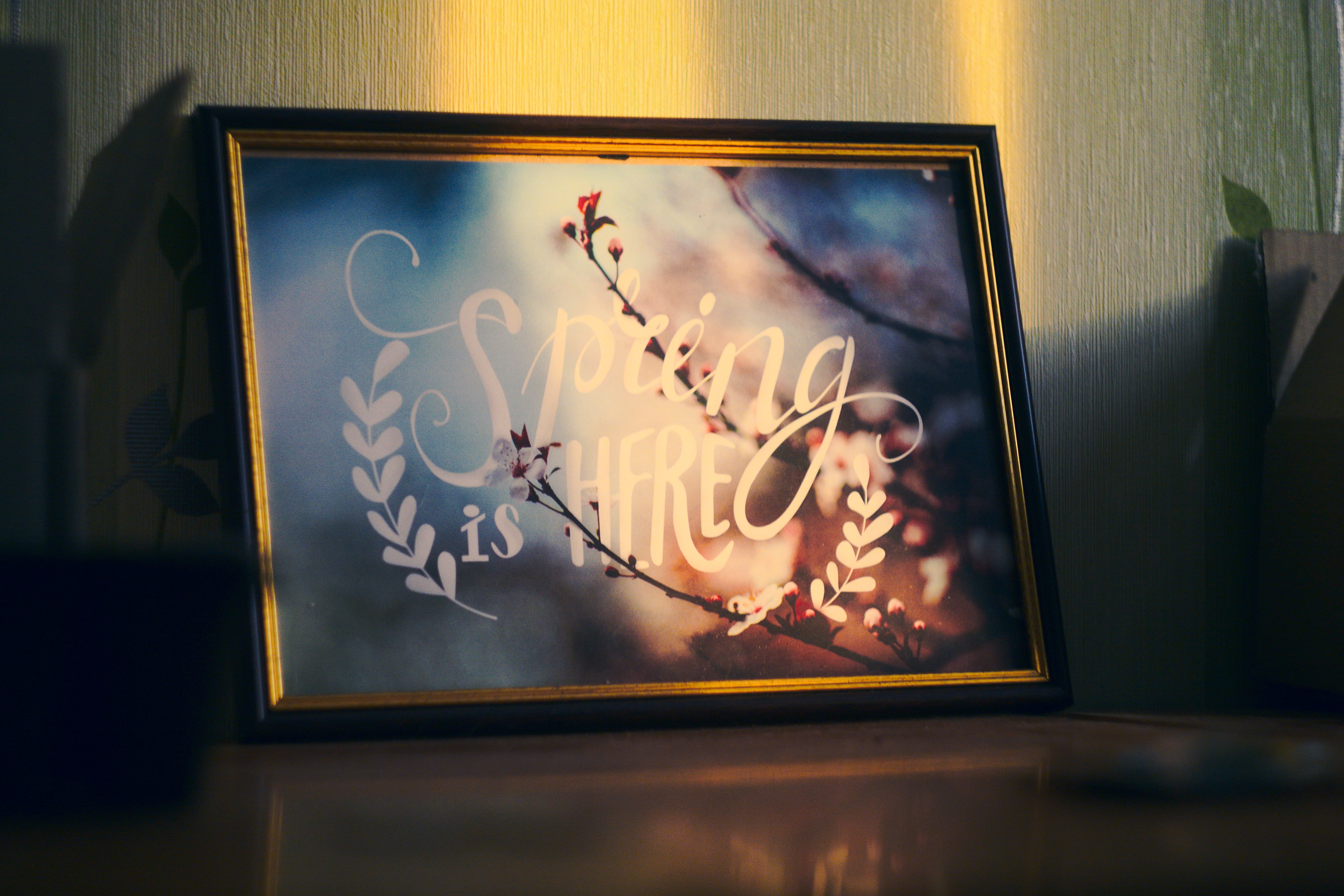 sun, art, sunset, grame, design, light, spring, home, interier