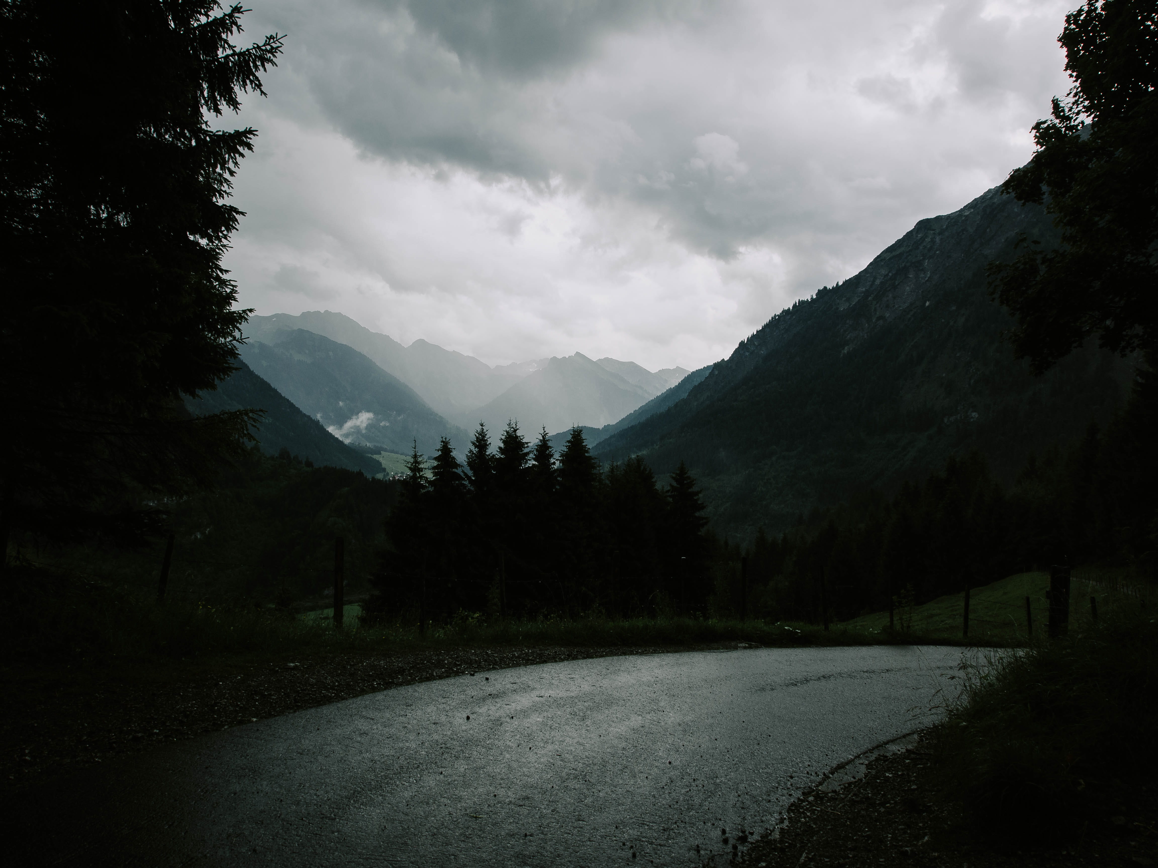 forest, nature, trees, mountain, cloud - sky, plant, mountain range
