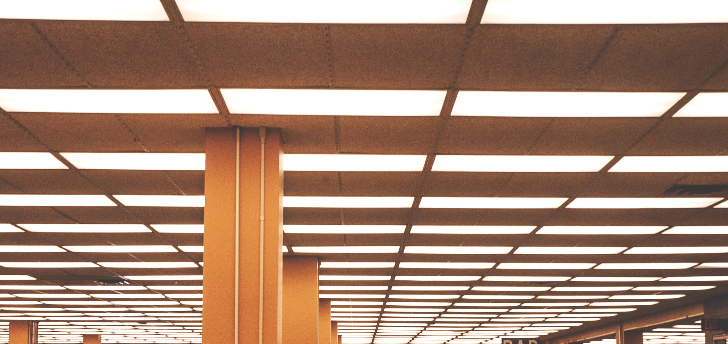 library, libraryceiling, lights, inside, campuslibrary, architecture
