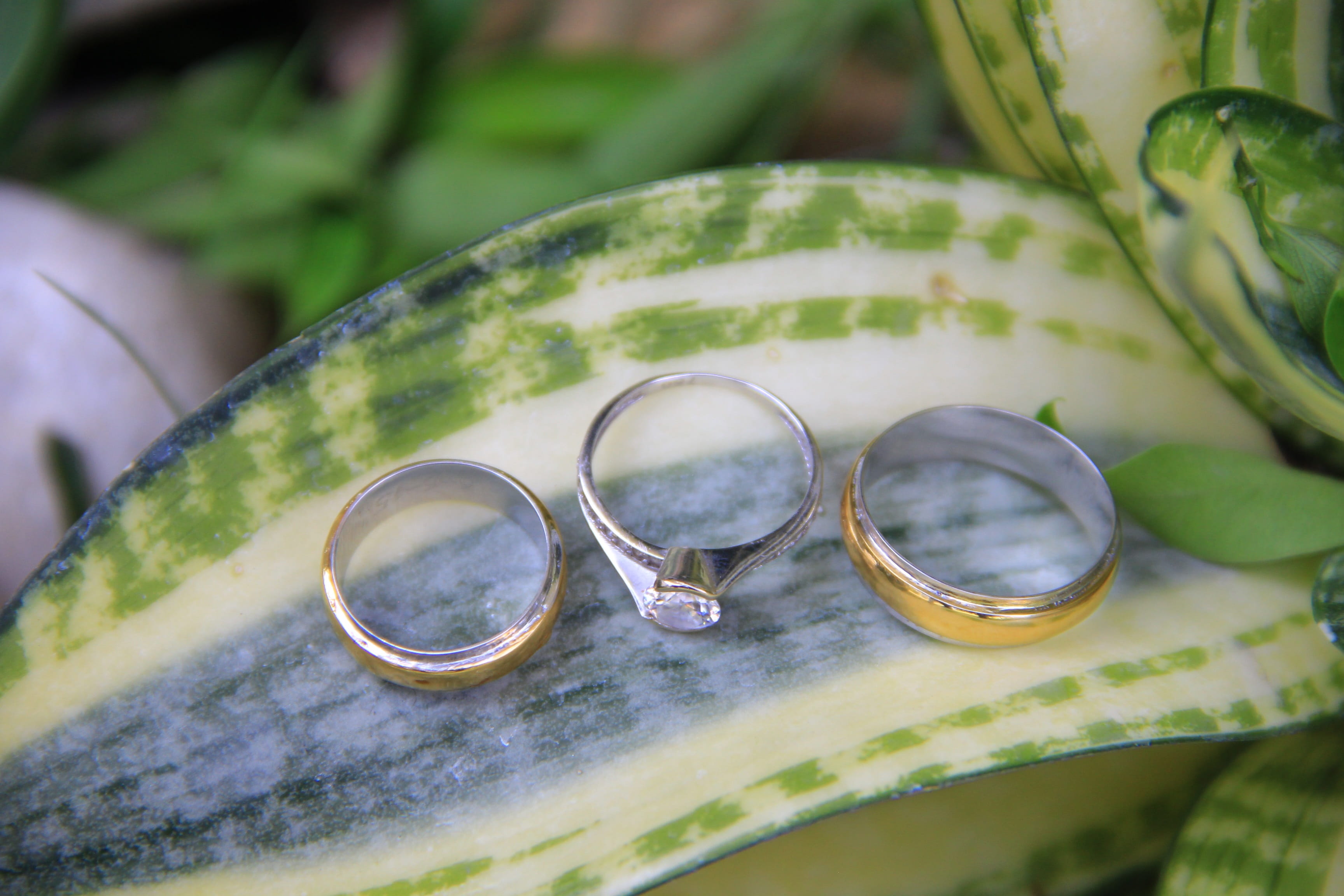 ring, wedding ring, beautiful ring, close-up, selective focus