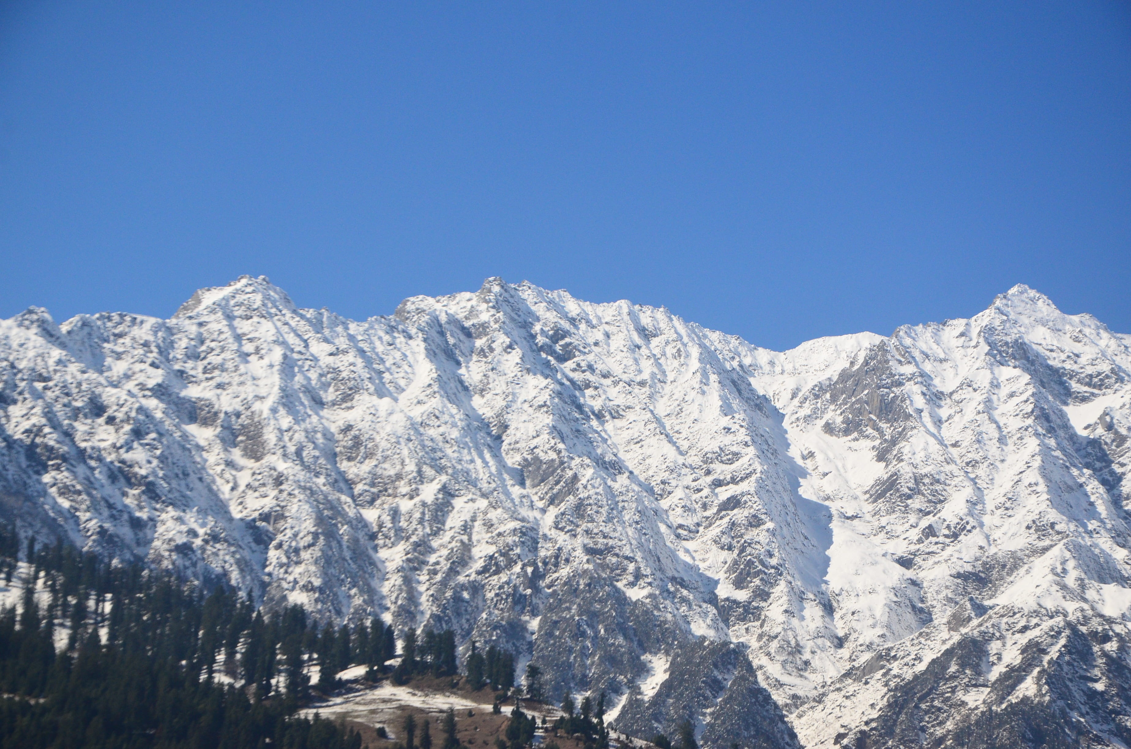 mountains, snow, winter, sunlight, trees, white, cold temperature
