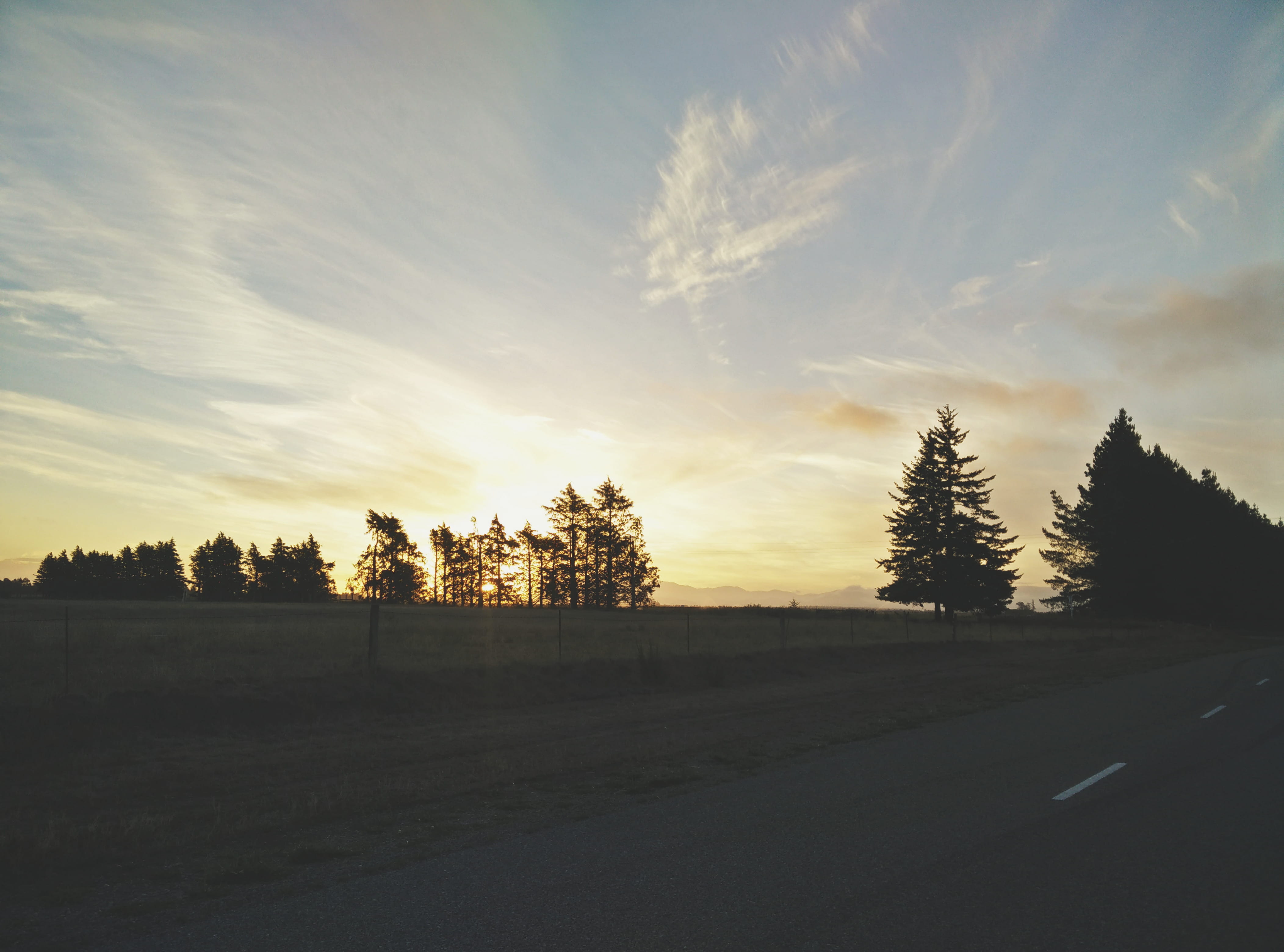 trees, sunset, sky, cloud - sky, tranquility, tranquil scene