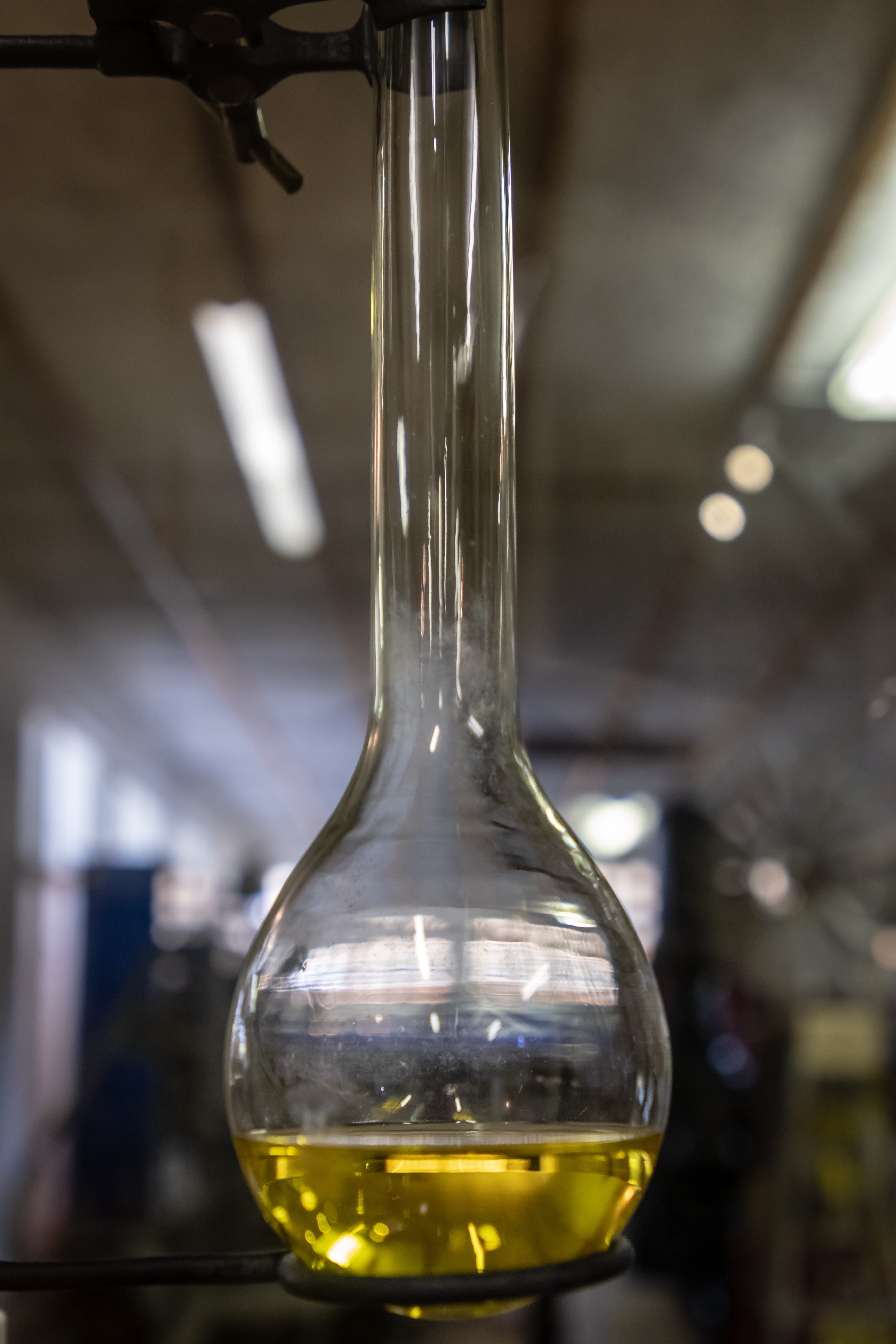 glass, goblet, crystal, home decor, jar, bottle, light, beer