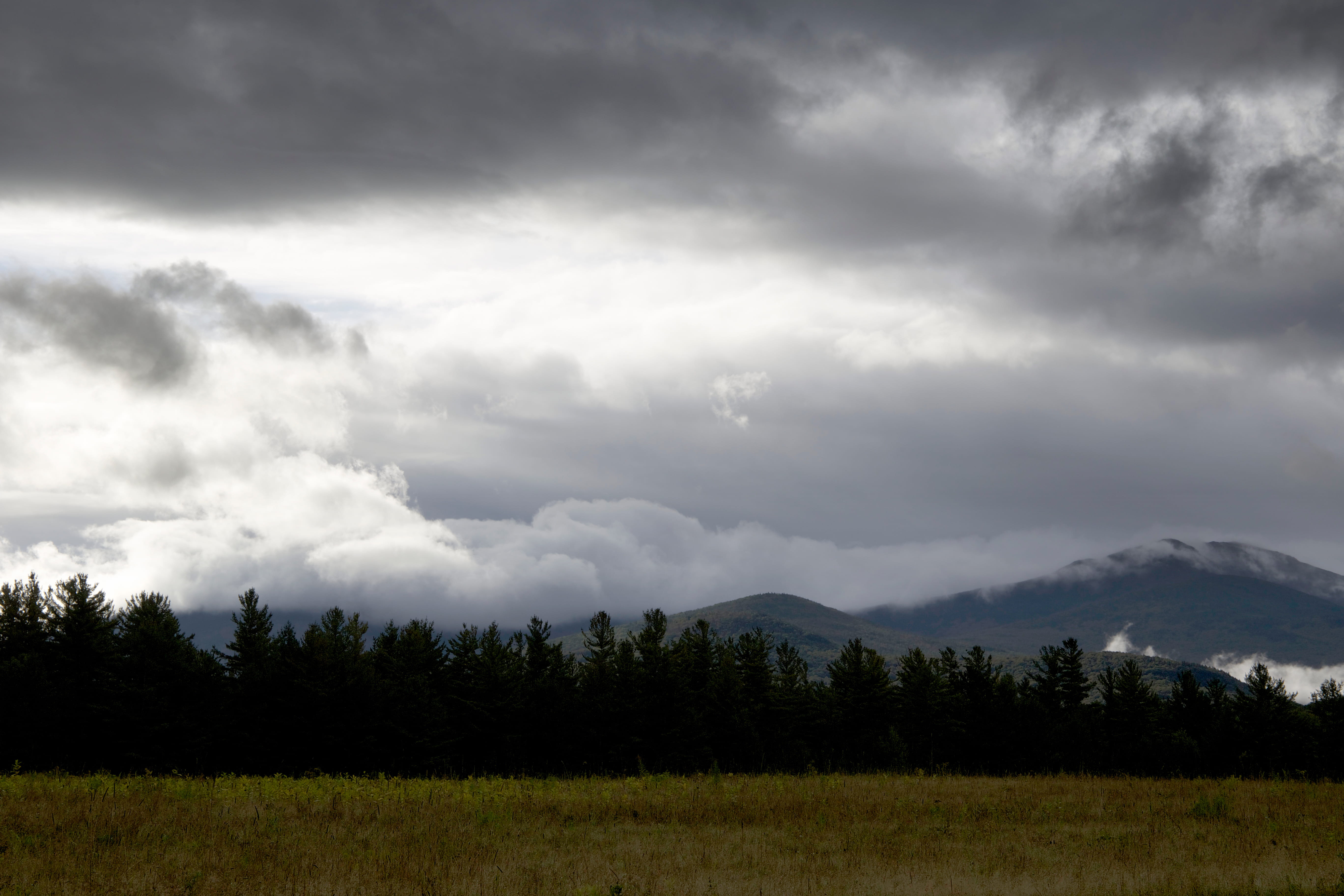 Green Tree Under Cloudy Sky, clouds, mountain, nature, trees