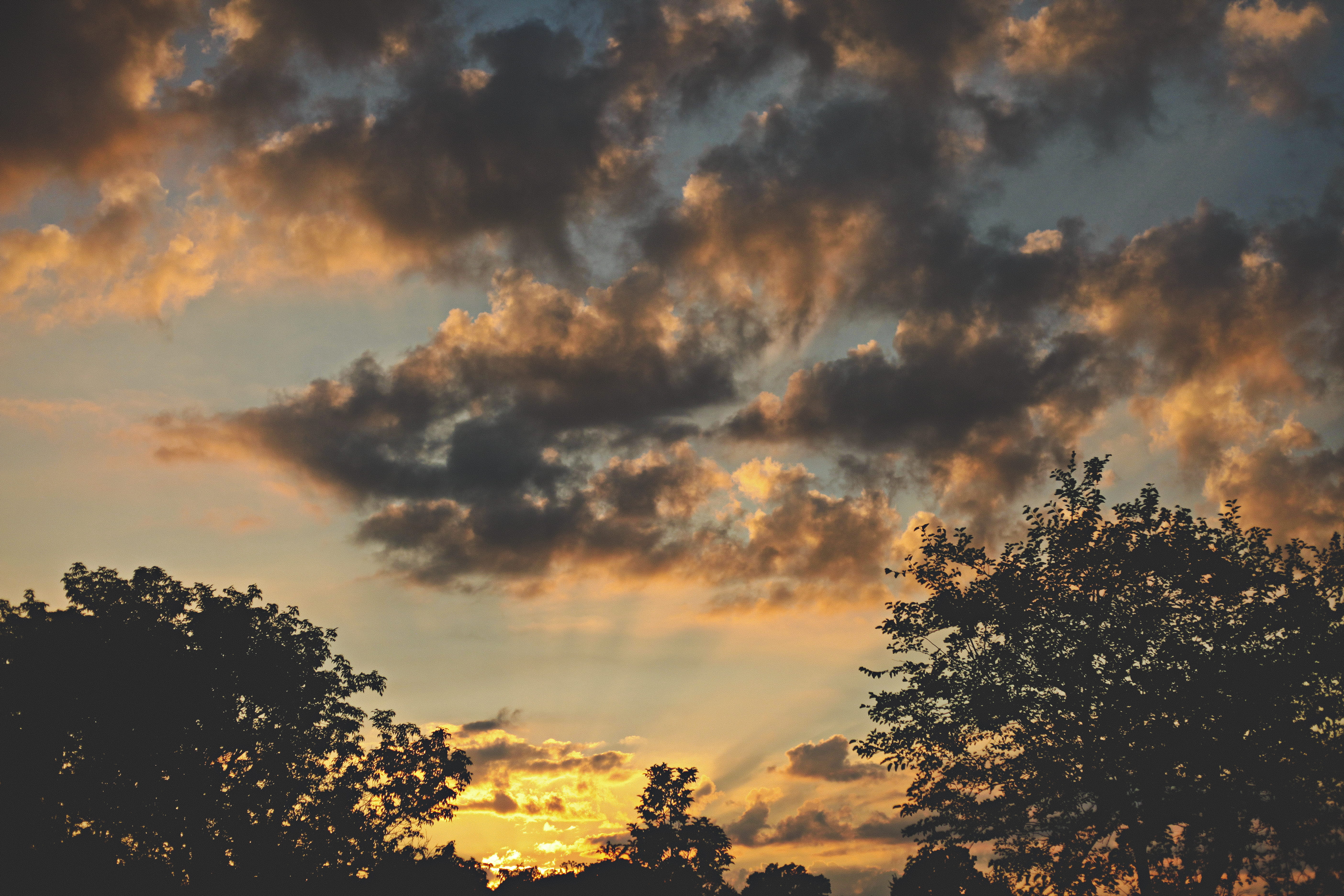 sunset, tree, clouds, fall, orange, dusk, contrast, magic, horizon