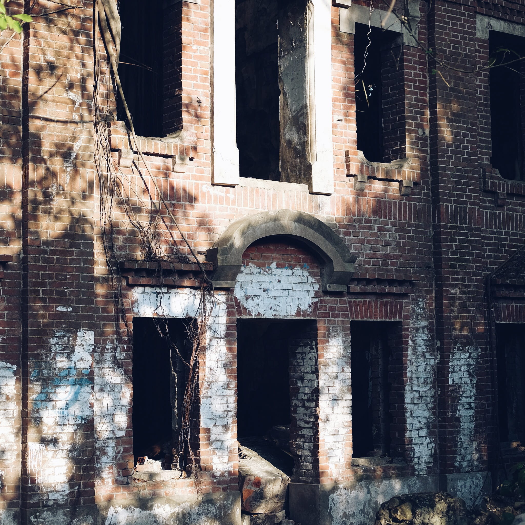 house, architecture, built structure, building exterior, window