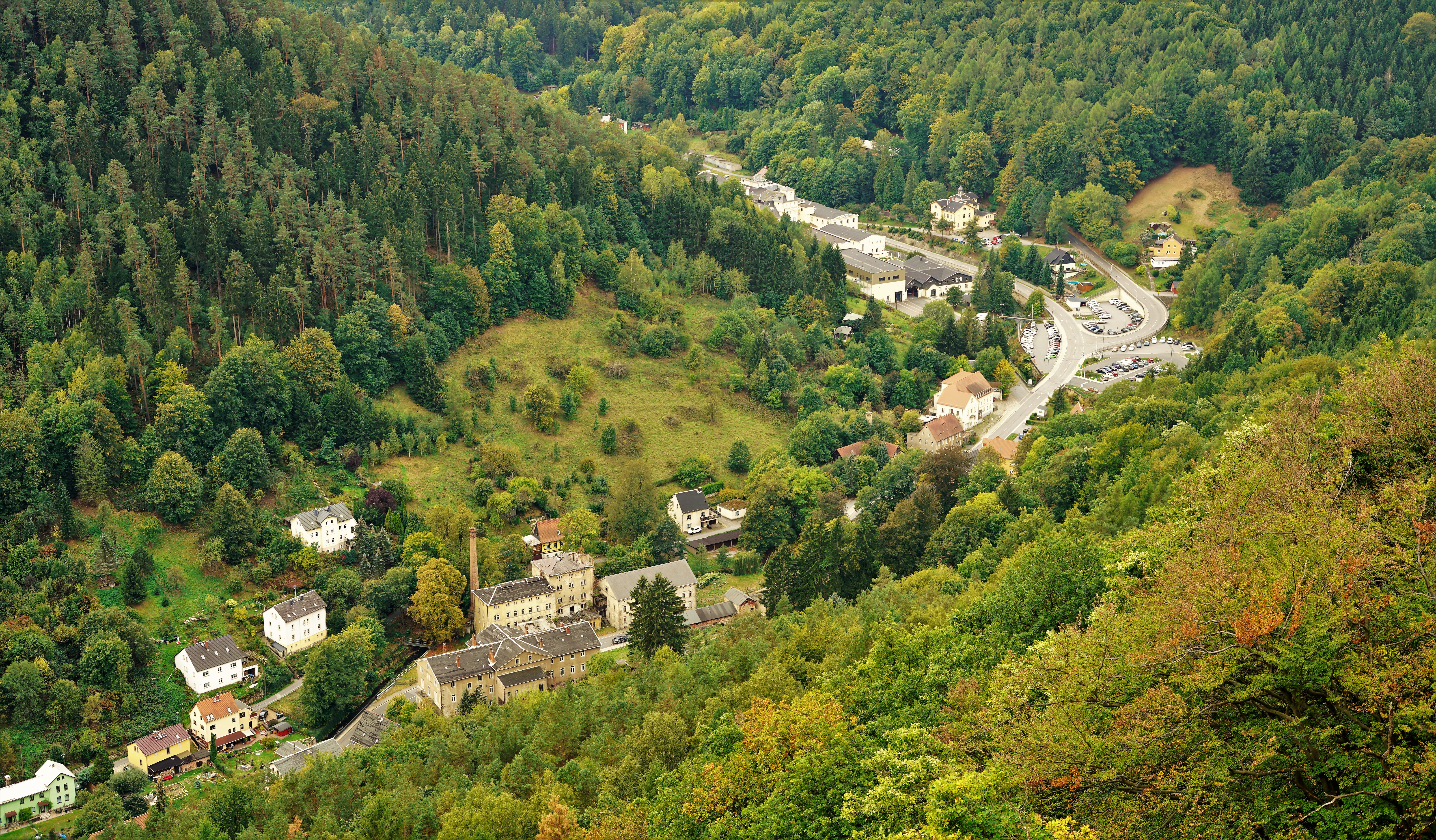 town surrounded by forest, tree, plant, high angle view, built structure