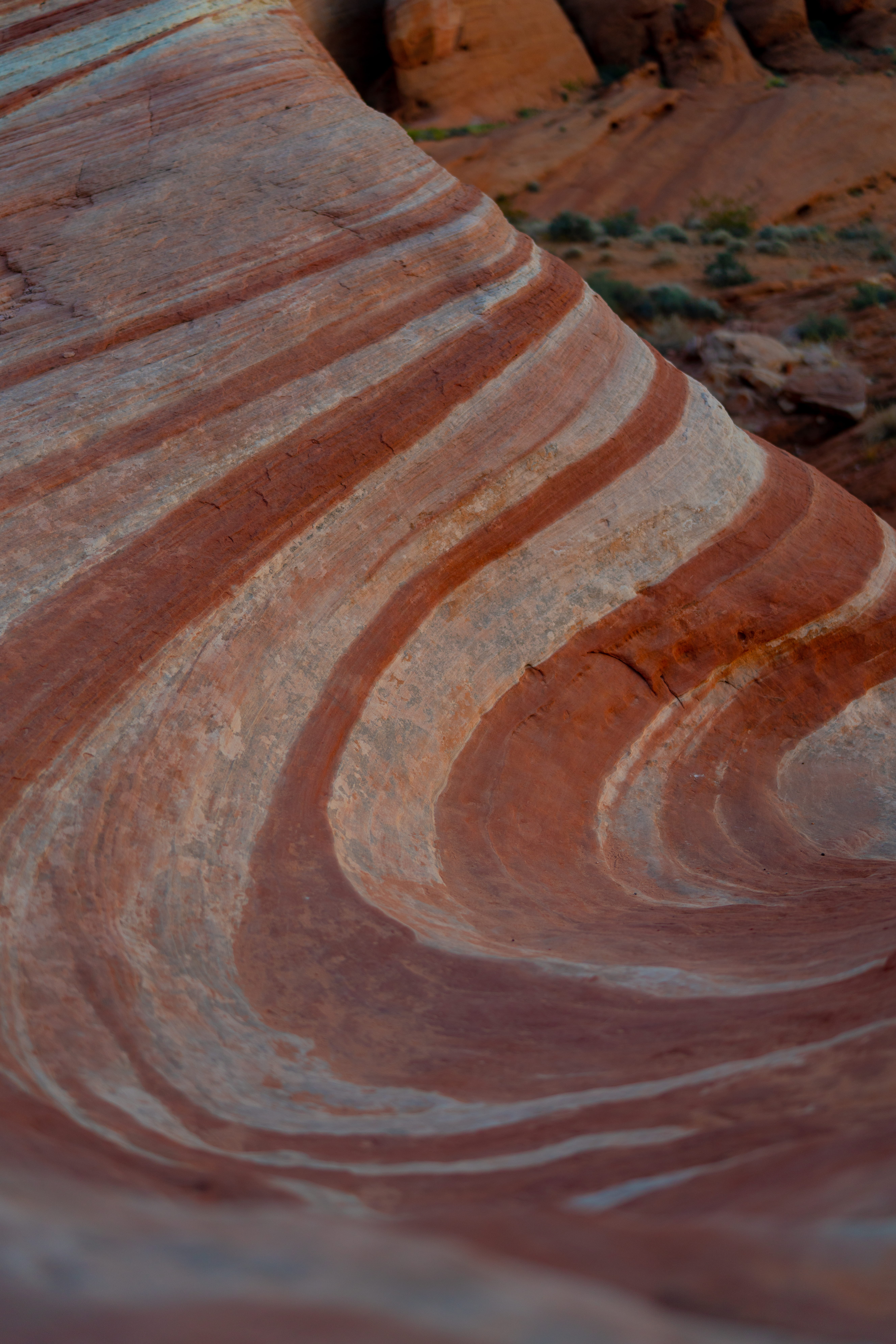 Canon screengrab, pattern, no people, day, close-up, high angle view