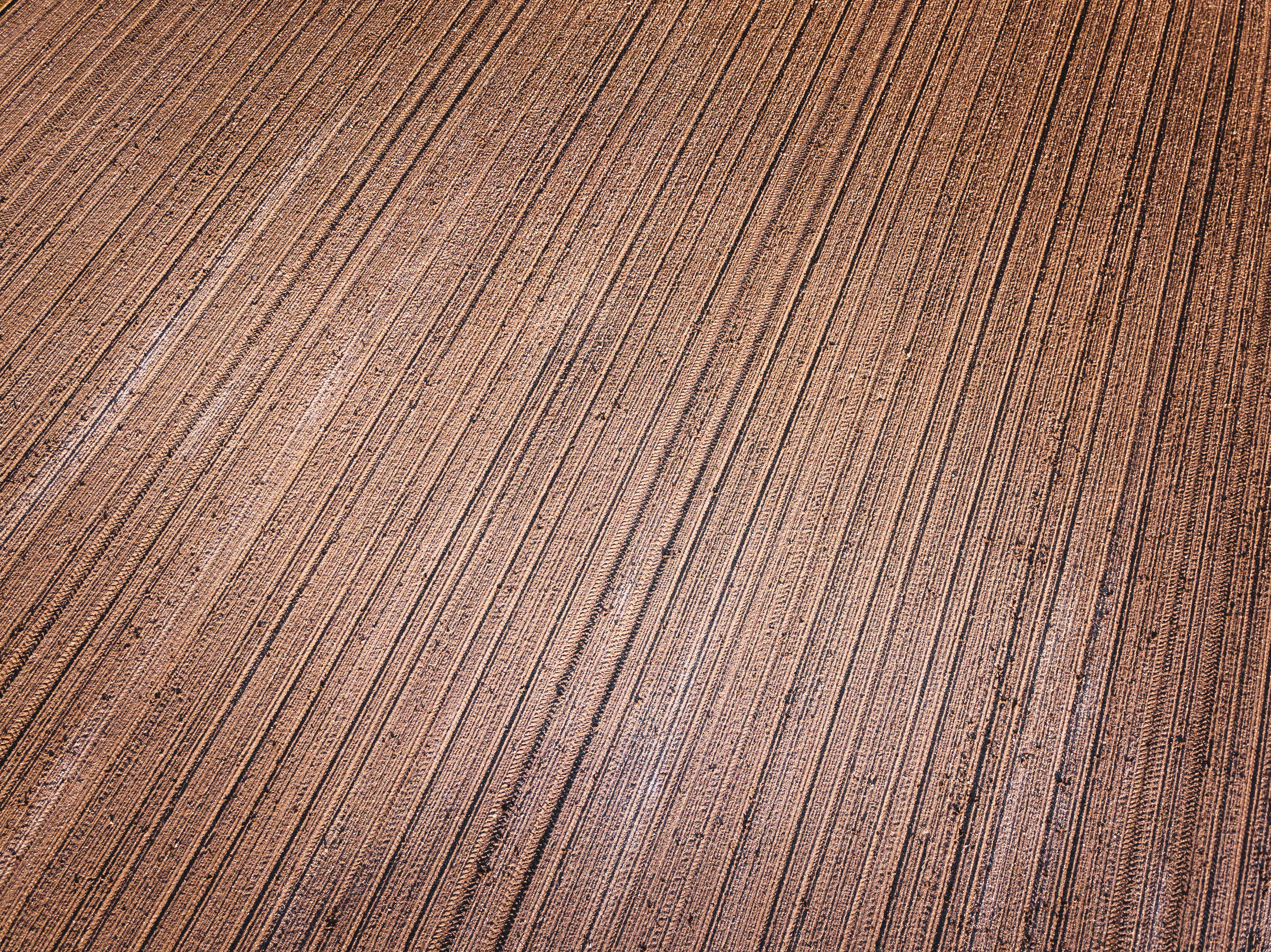 beige panel, backgrounds, pattern, full frame, wood grain, textured