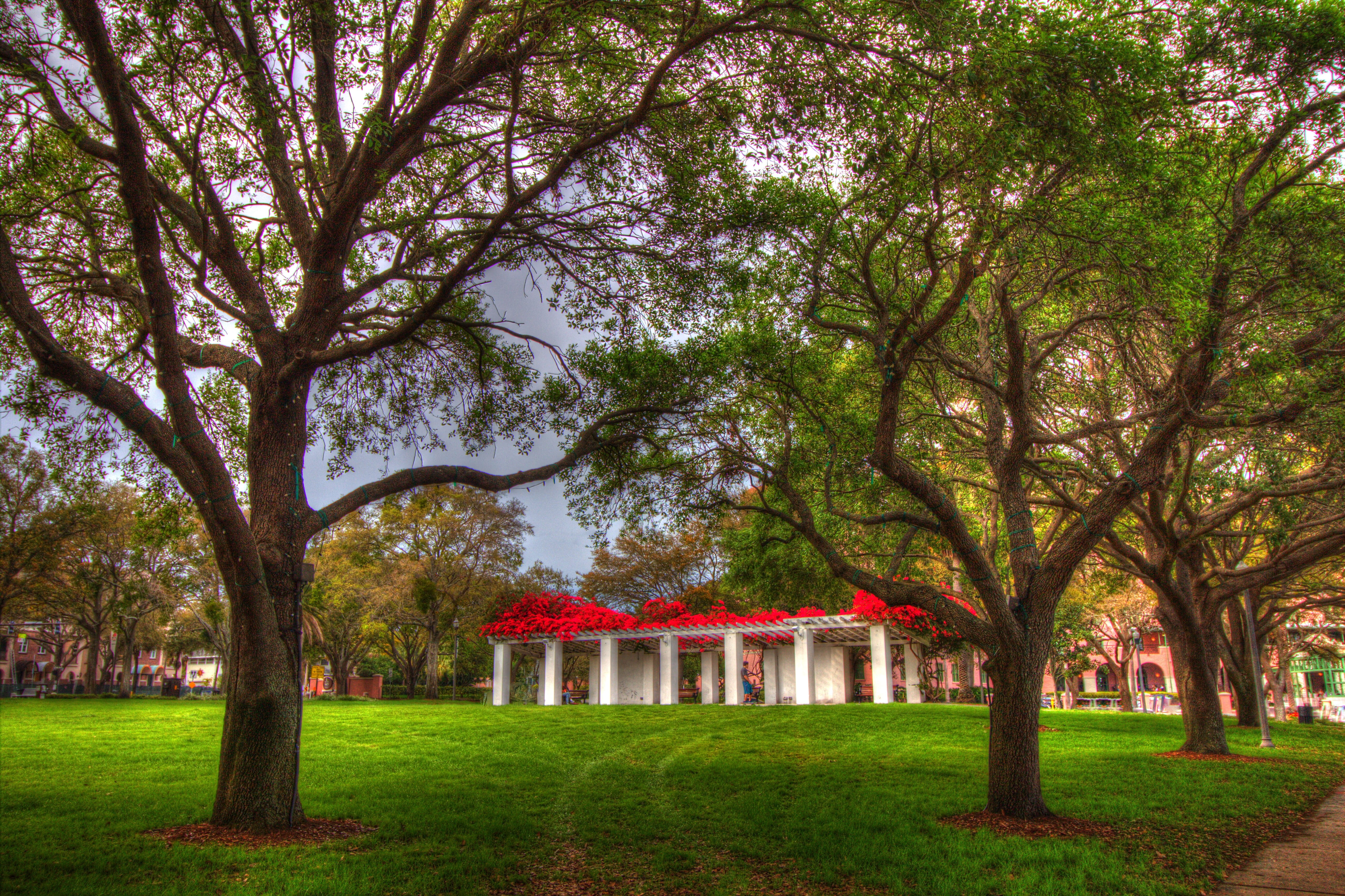 trees, public space, plant, architecture, grass, built structure