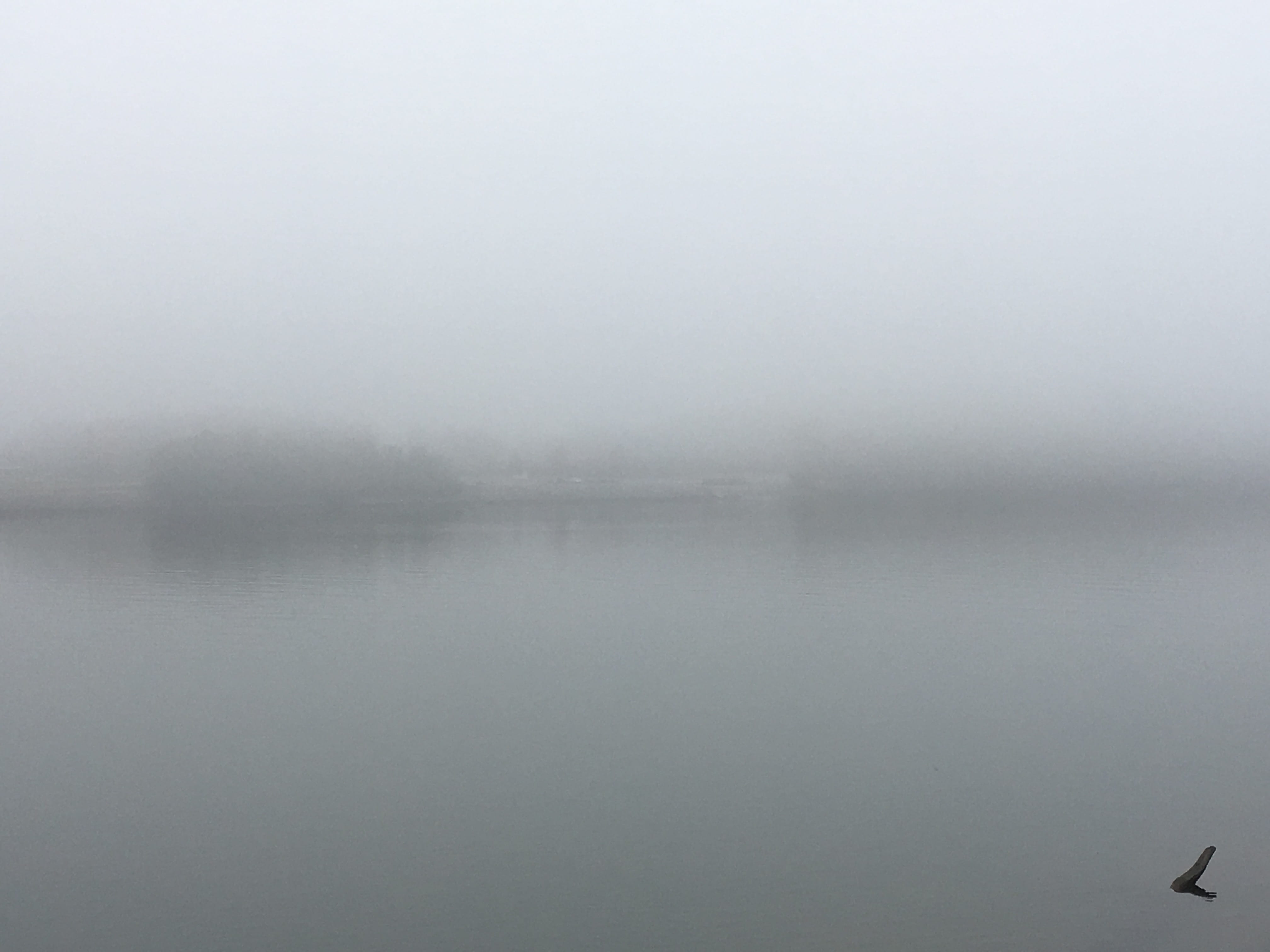 united states, chattanooga, ambient, river, calm, water, fog