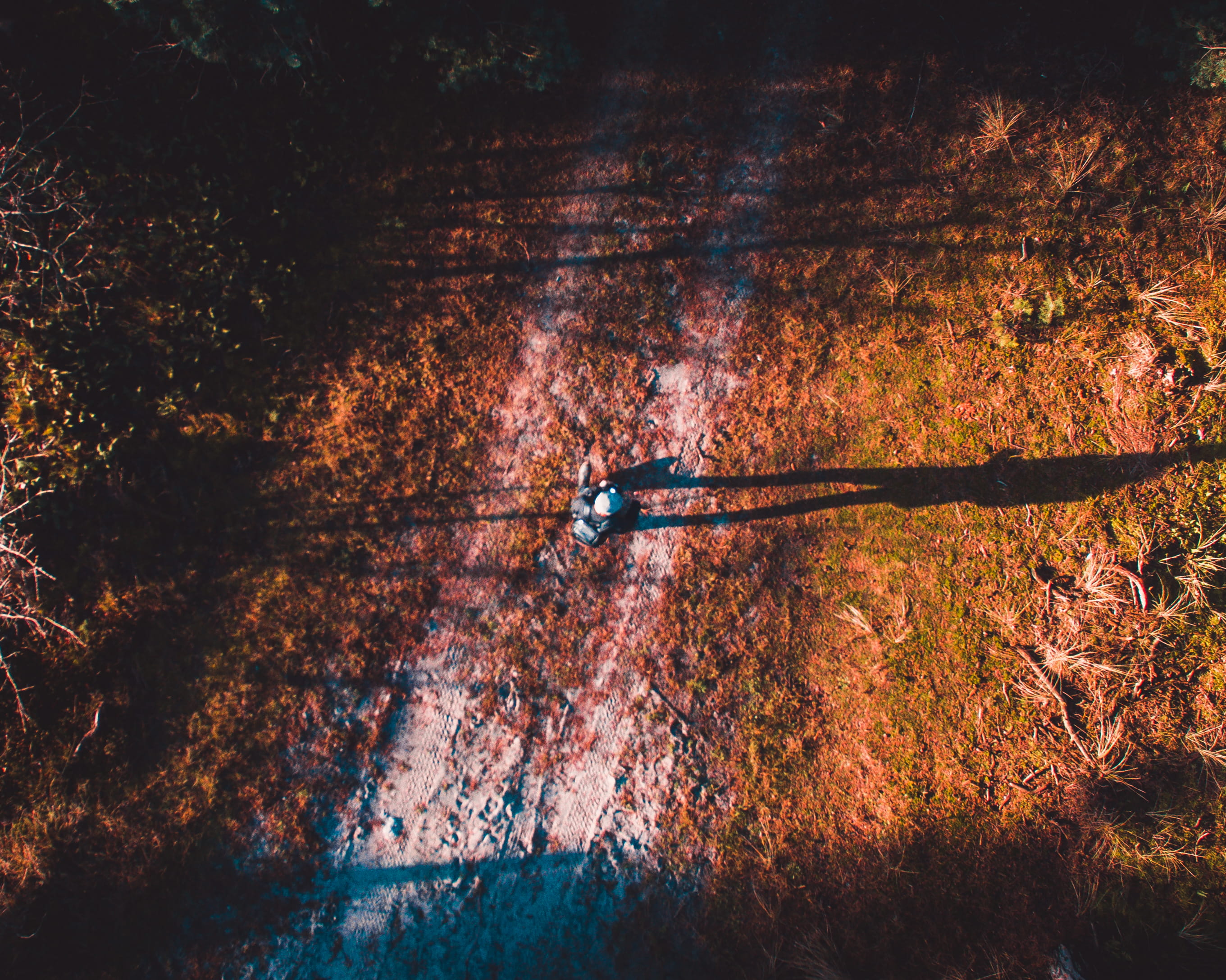denmark, aakirkeby, boderne, man, walking, drone, up to down shot