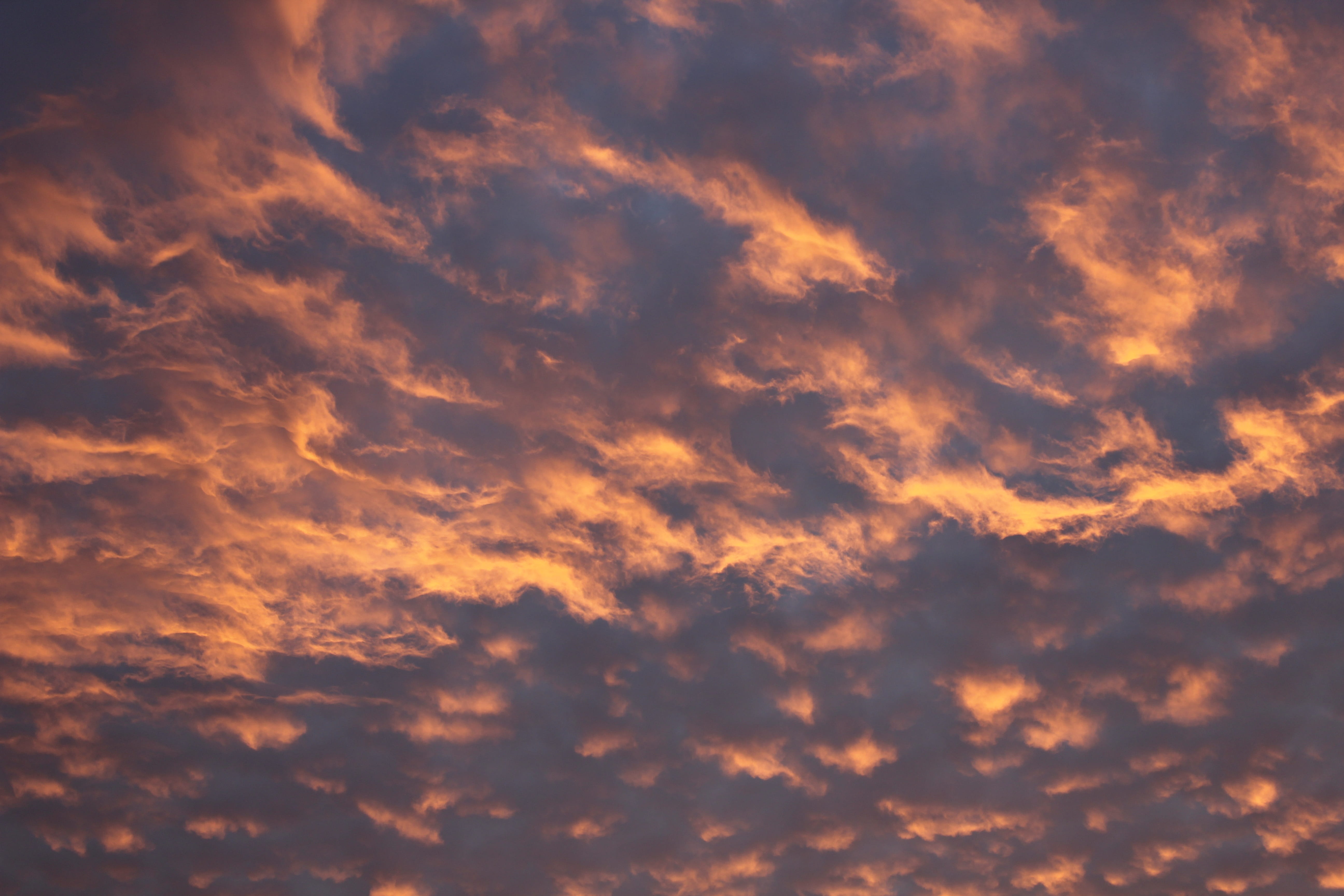 sunset, pink, yellow, clouds, cloudscape, trees, nature, landscape