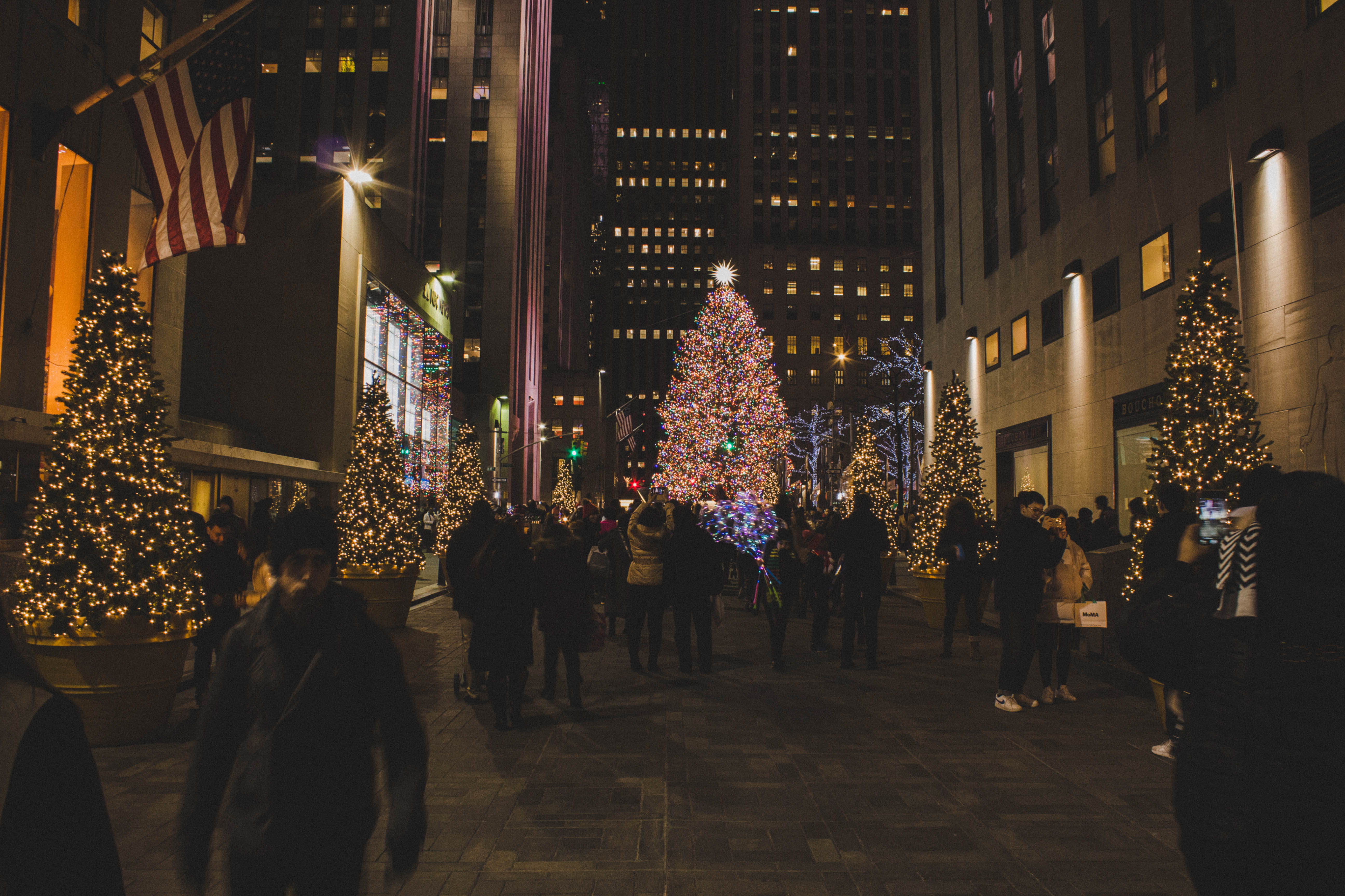 Christmas Tree lot, illuminated, night, celebration, architecture