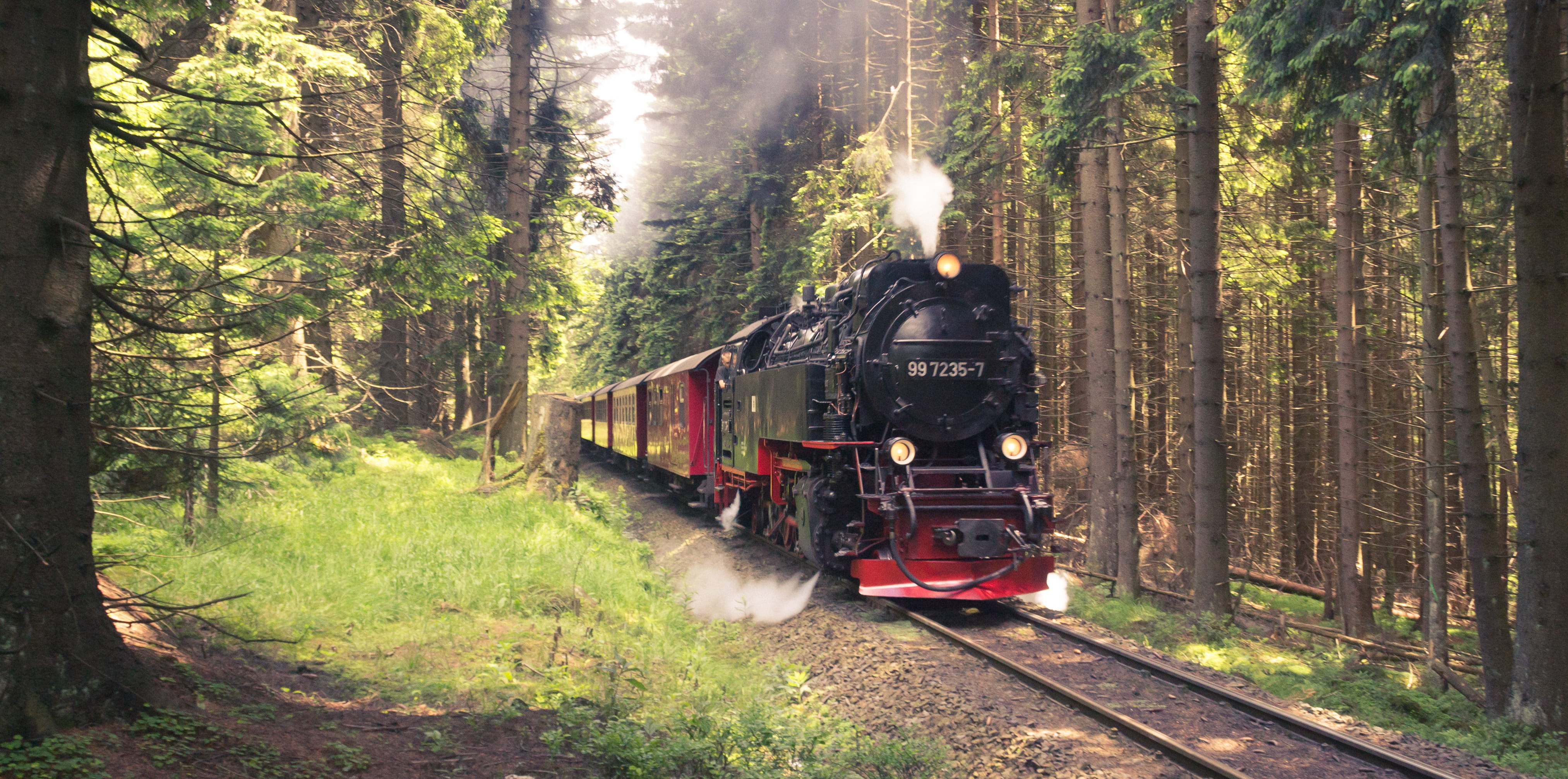 germany, wernigerode, brocken, railway, steam engine, train