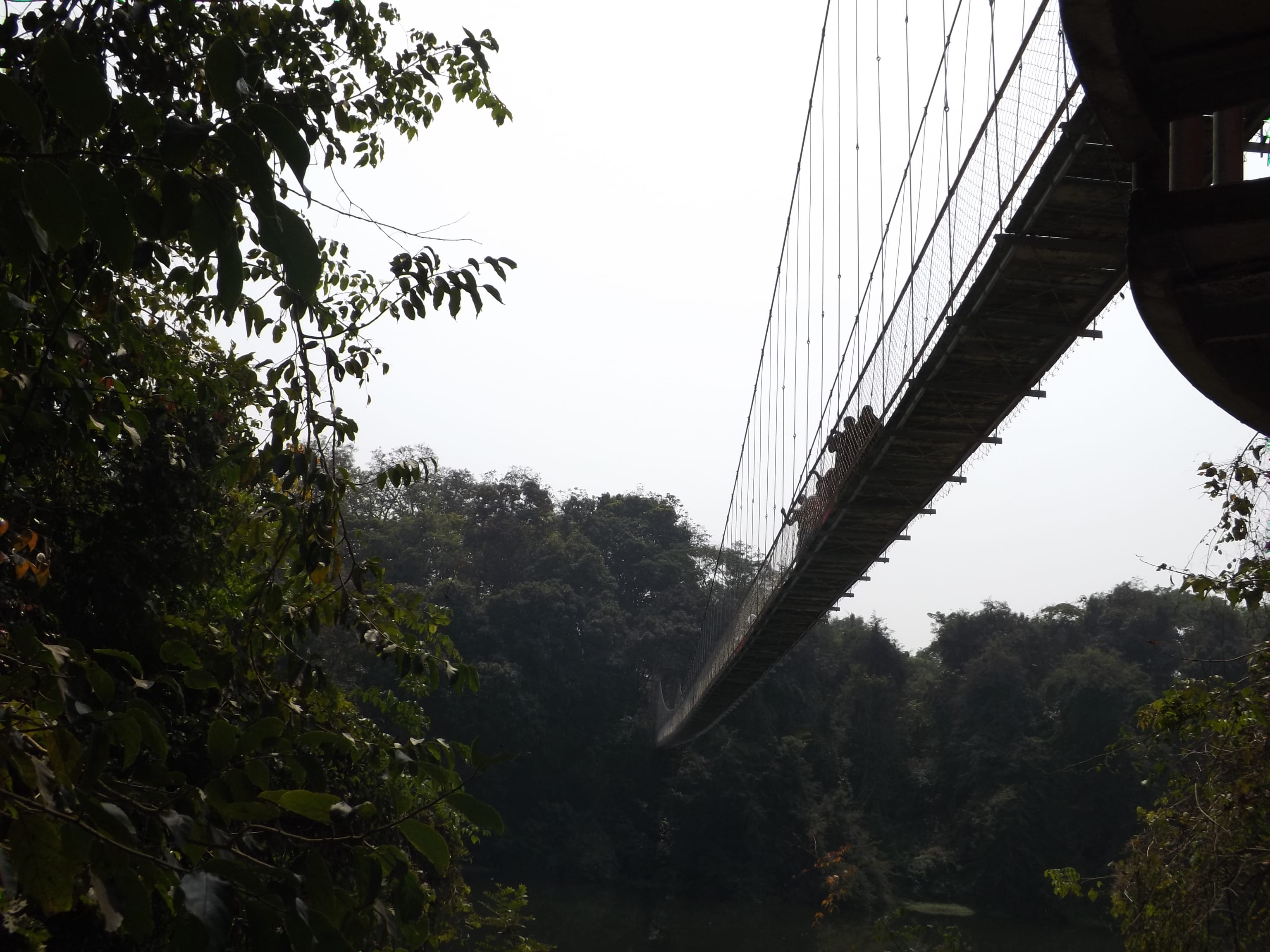 india, nilambur, bridge, bridge - man made structure, connection