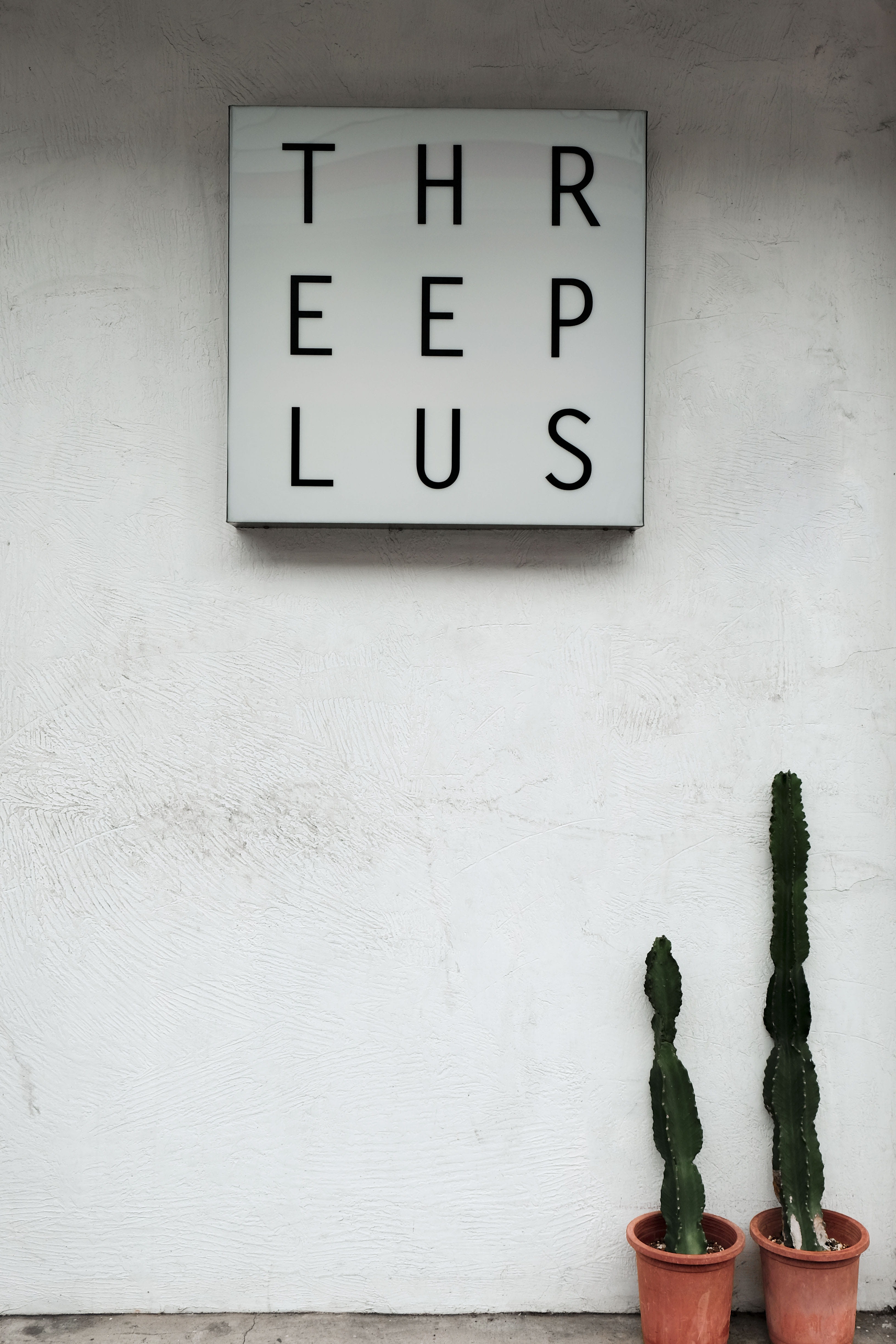 two cactus plants, wall - building feature, number, built structure