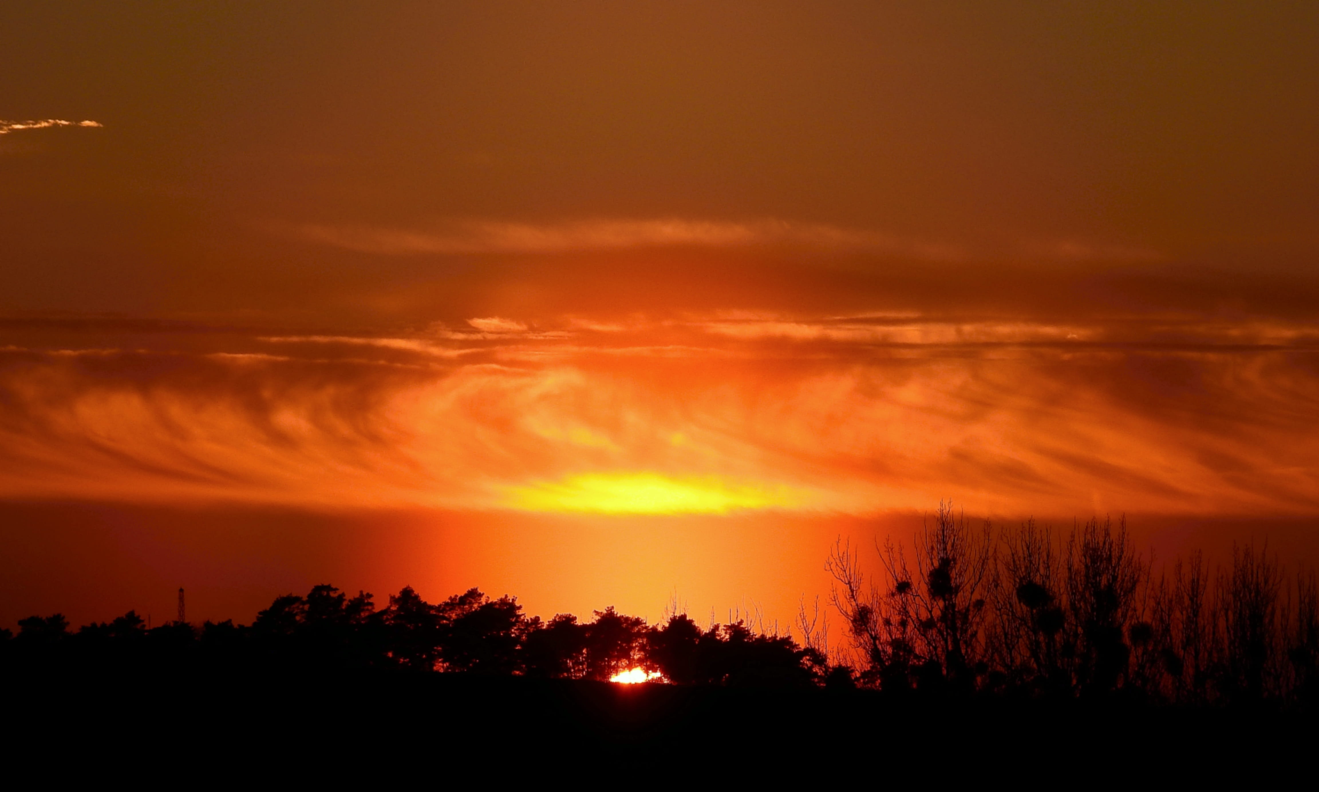 sunset, landscape, tree, clouds, mood, scenery, sky, cloud - sky
