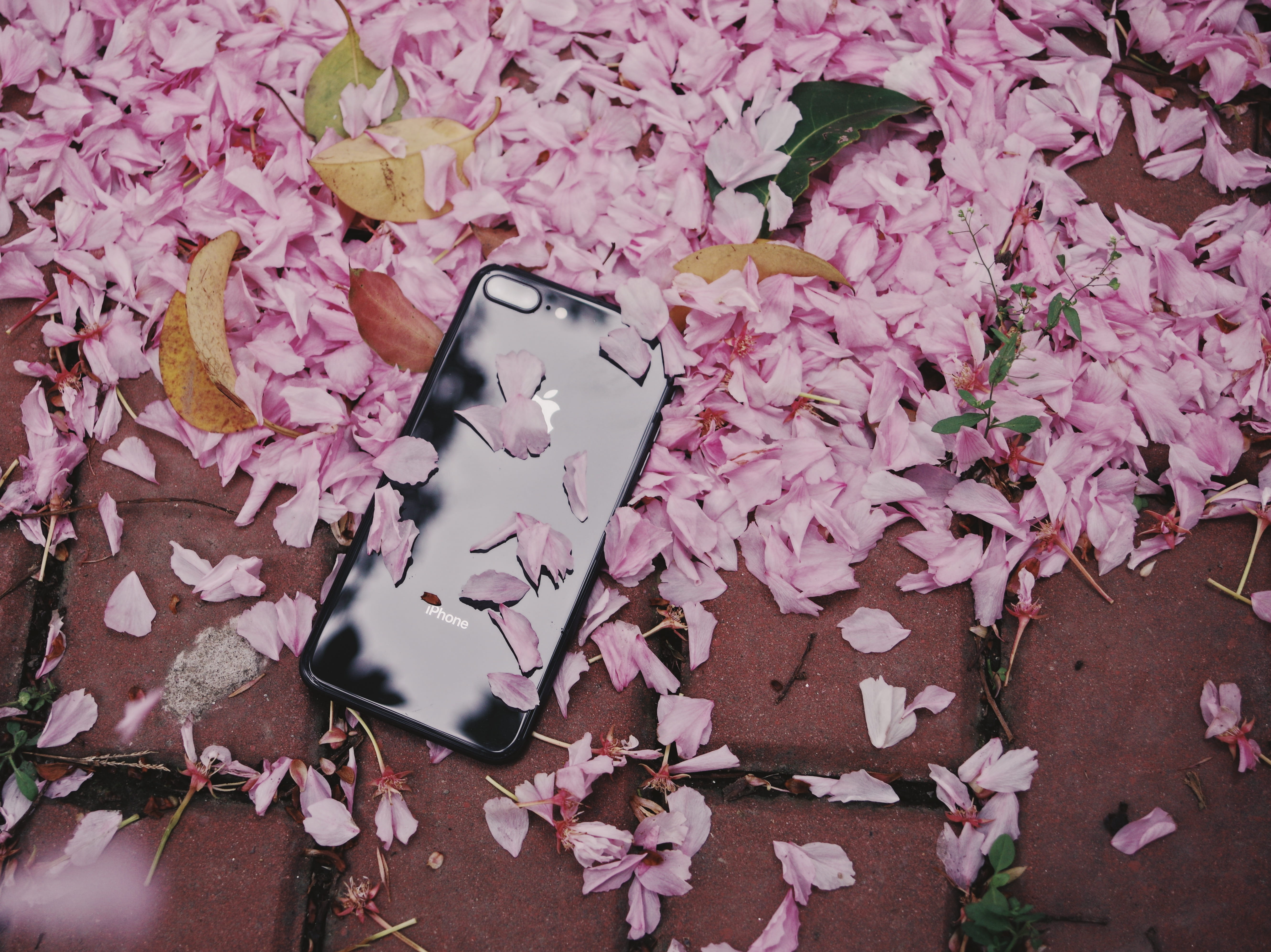 china, shanghai, communication, high angle view, pink color