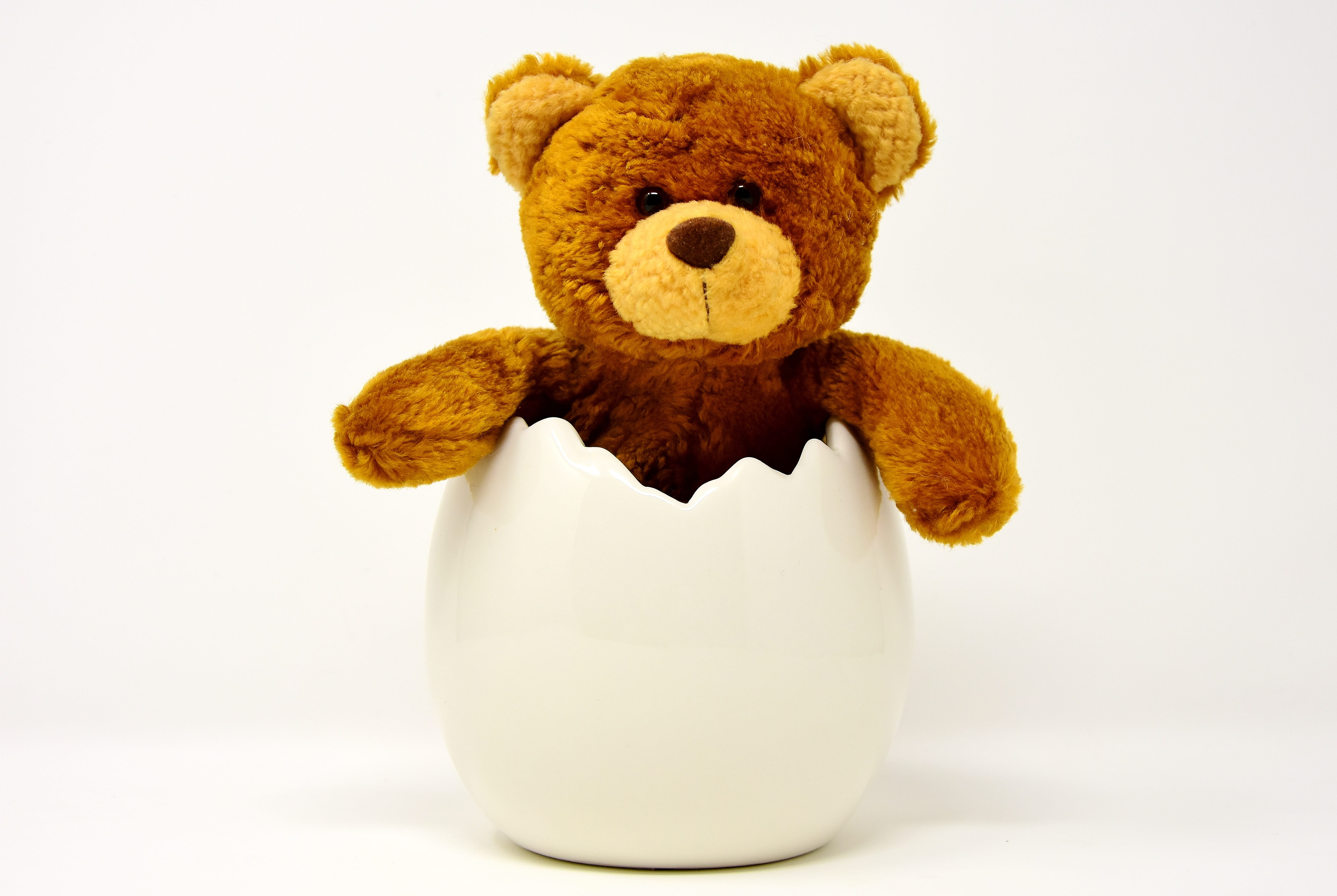 easter egg, ceramic, eggshell, teddy, funny, cute, soft toy
