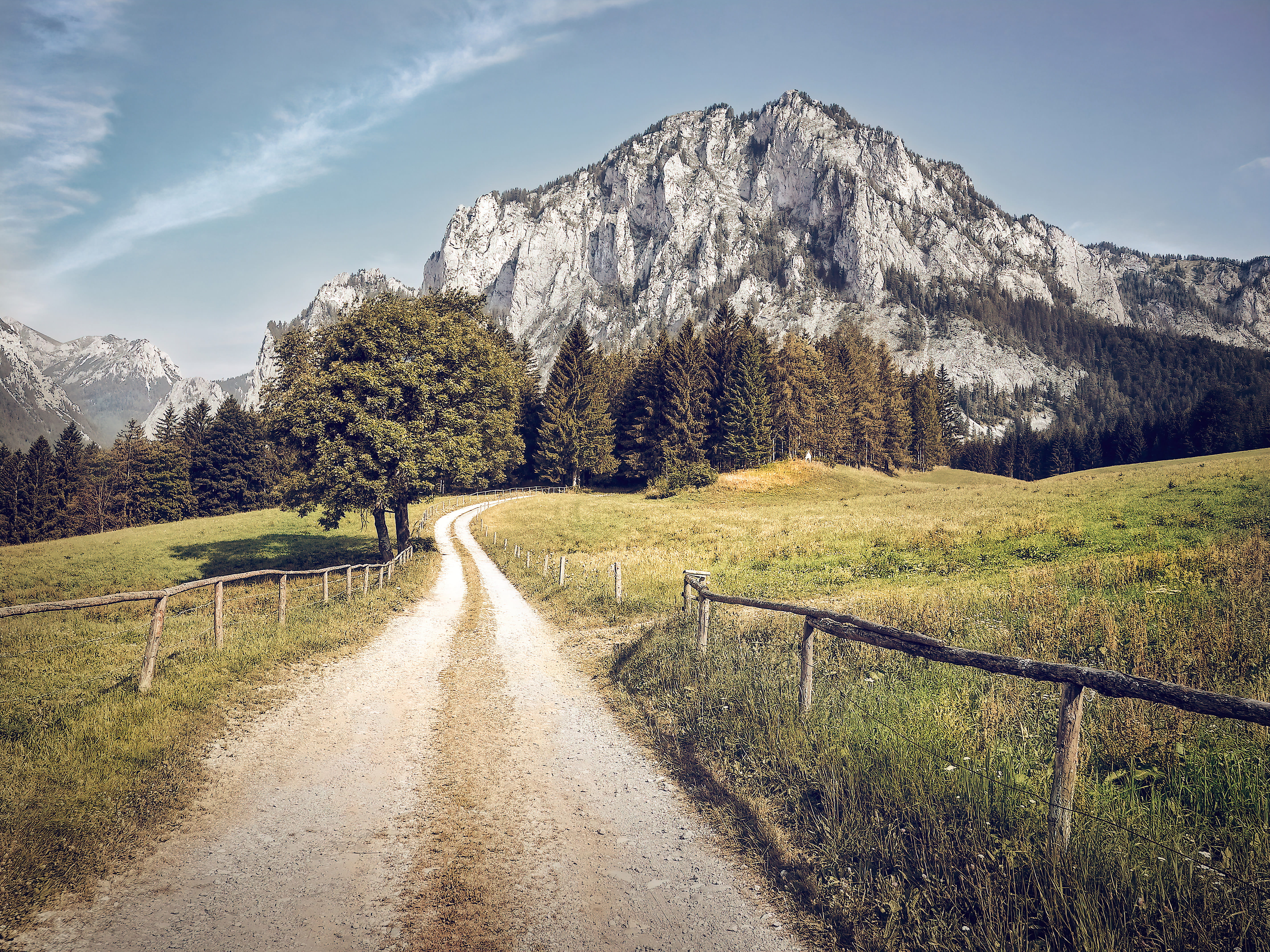pathway in between grass fields, plant, the way forward, direction