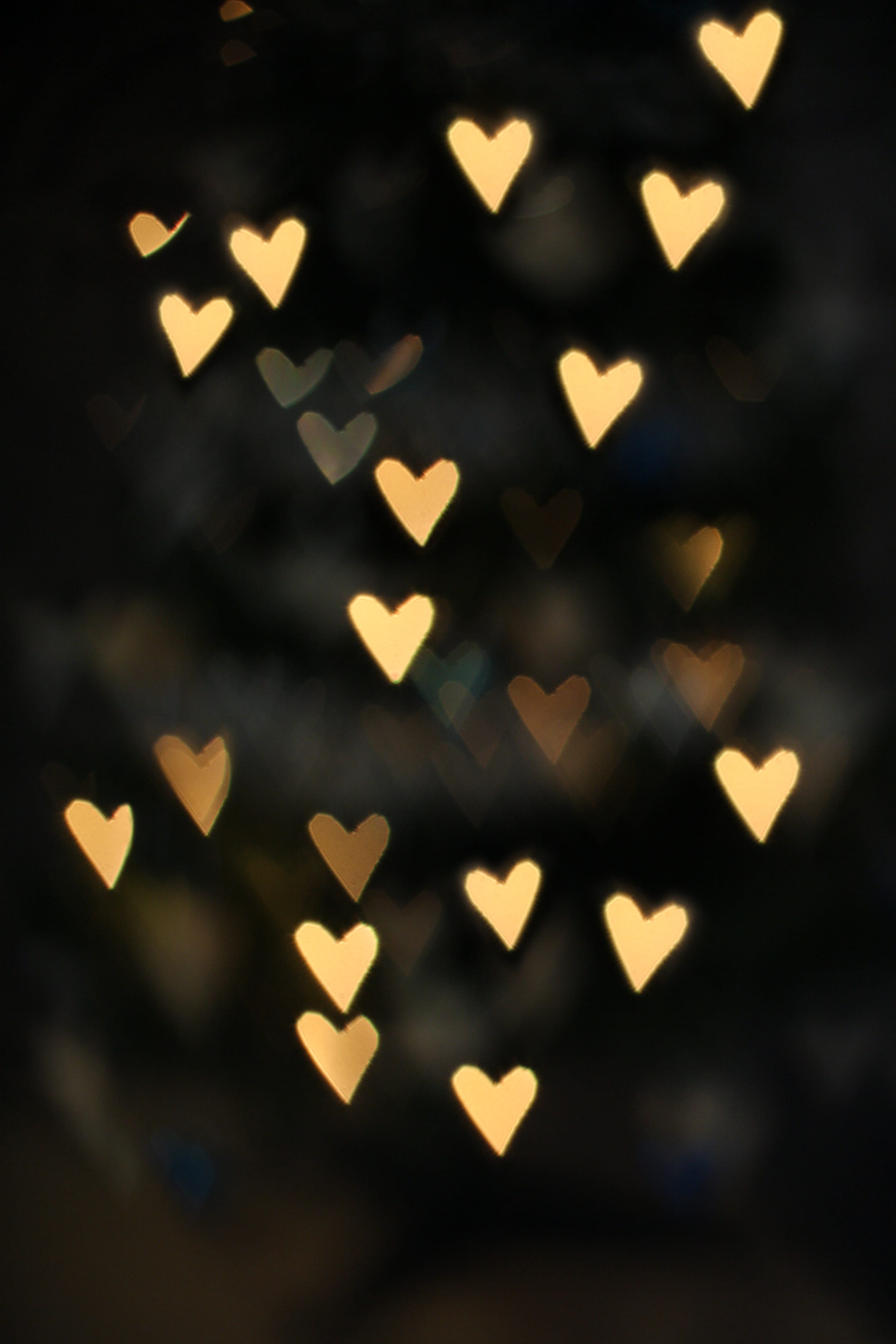 beige hearts light, shape, star shape, celebration, close-up