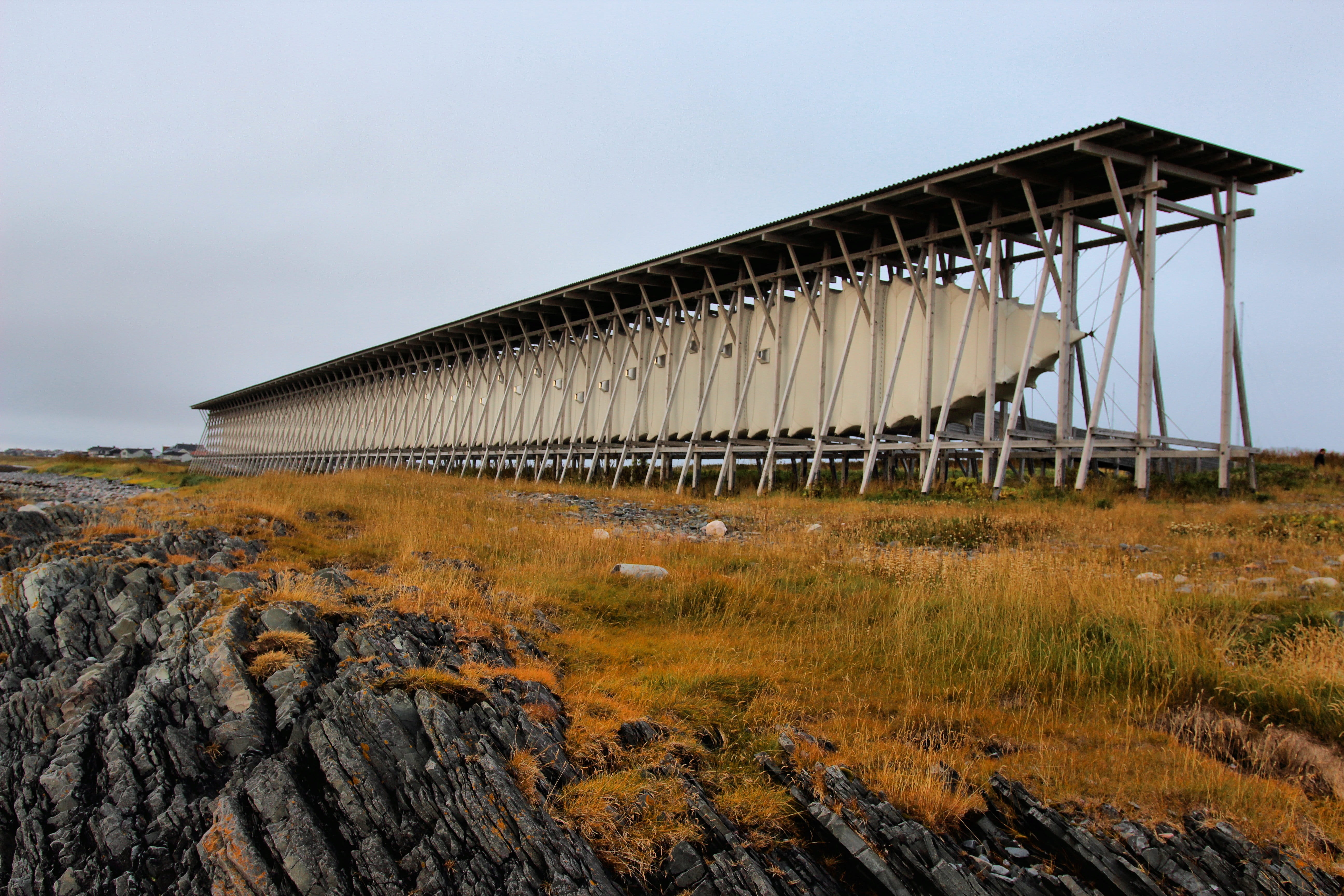 uöoö, dhfgh, adef, sky, architecture, built structure, nature