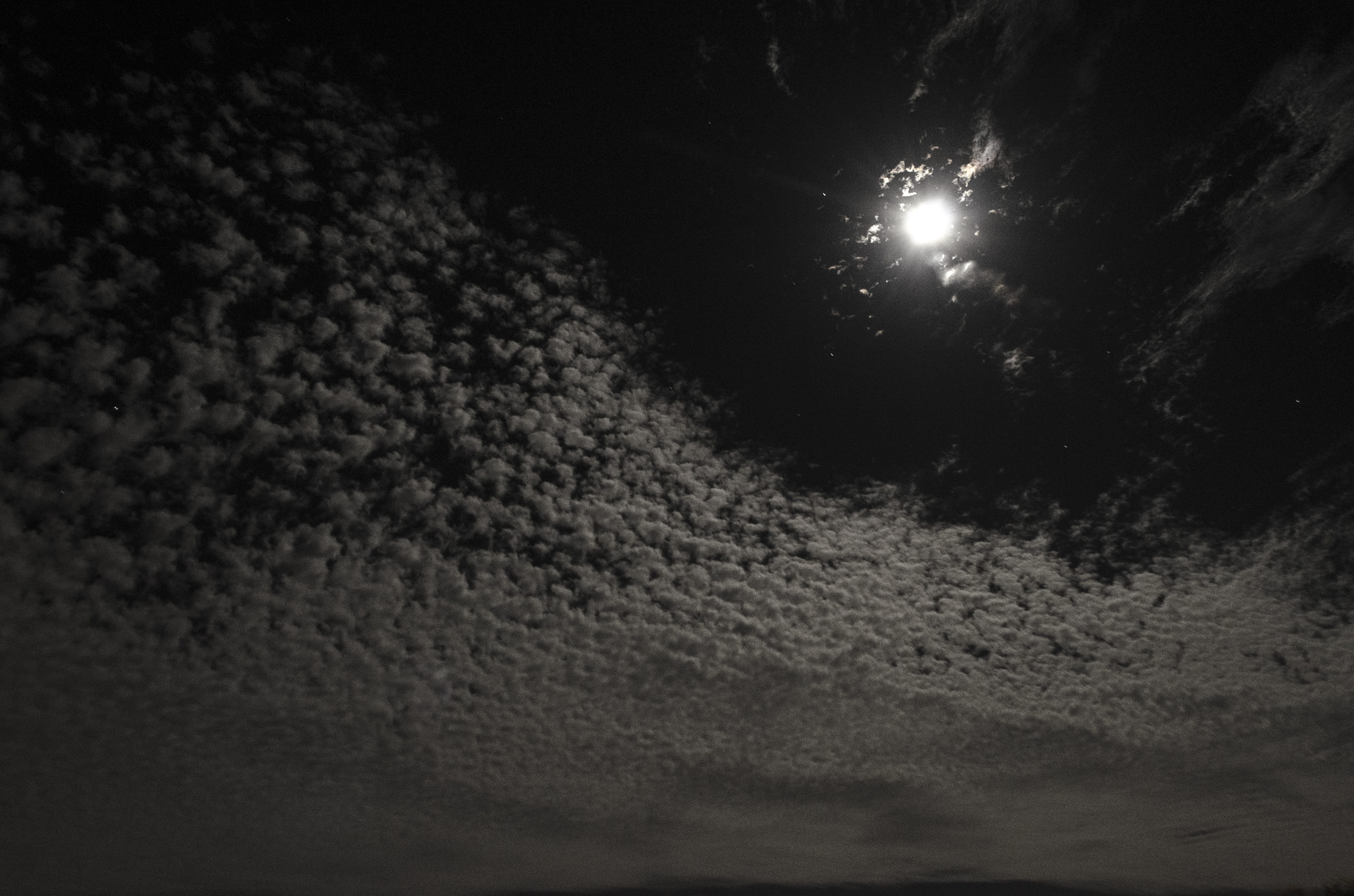 moon, cloud, light, night sky, dark, dawn, space, astronomy