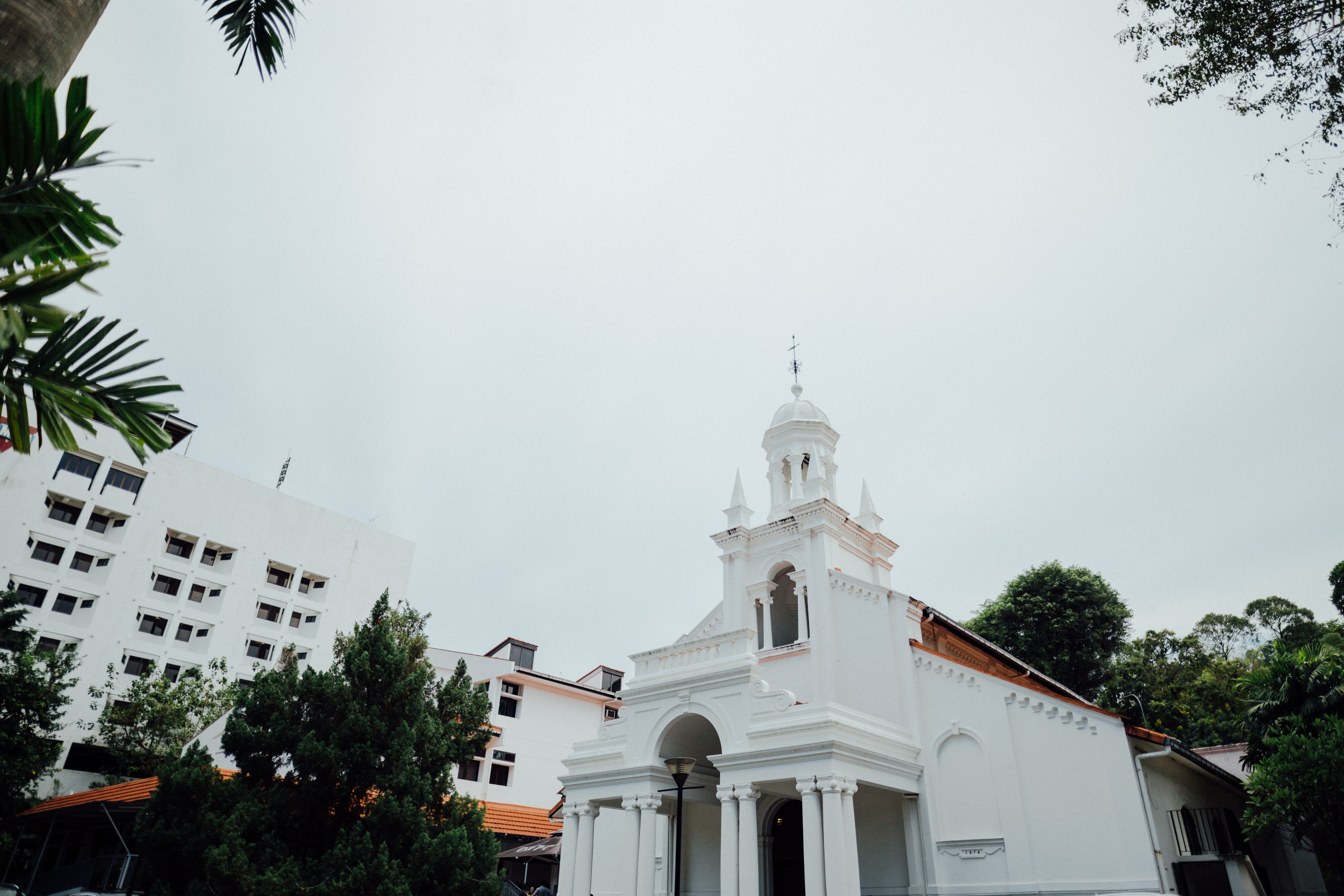 architecture, building, tower, spire, steeple, plant, tree