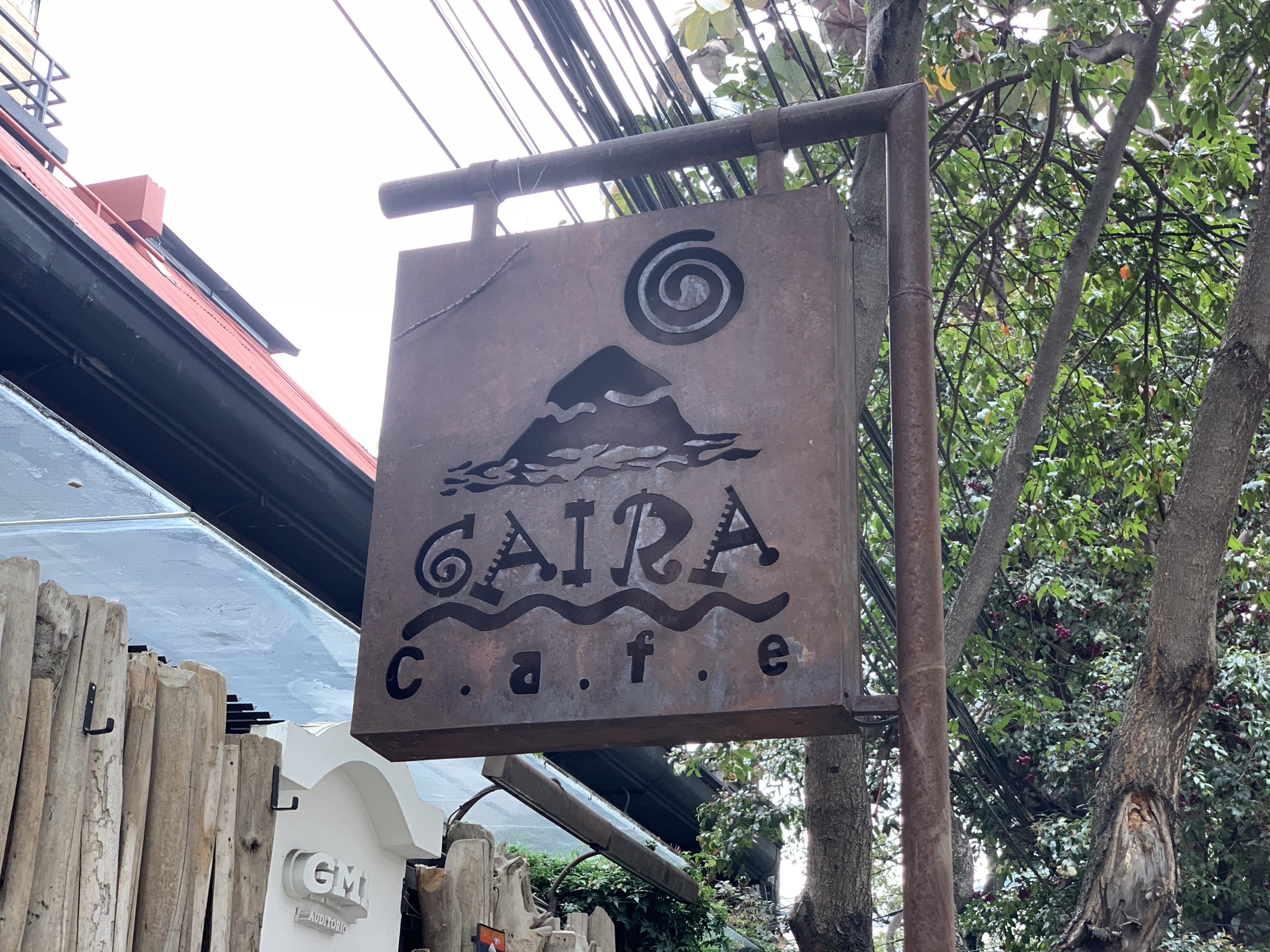 communication, text, sign, plant, tree, low angle view, day