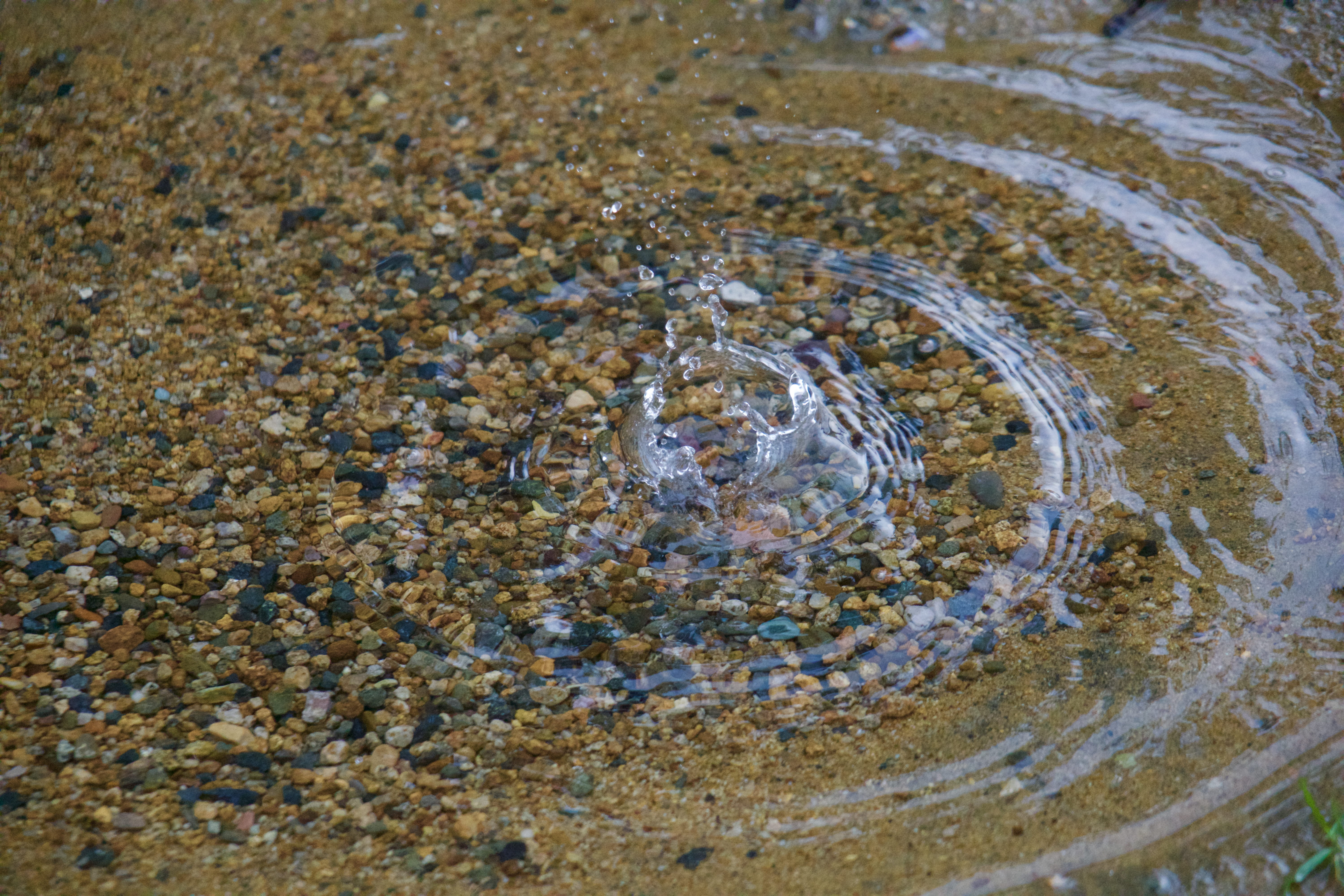 raindrop, water, pebbles, high angle view, nature, full frame