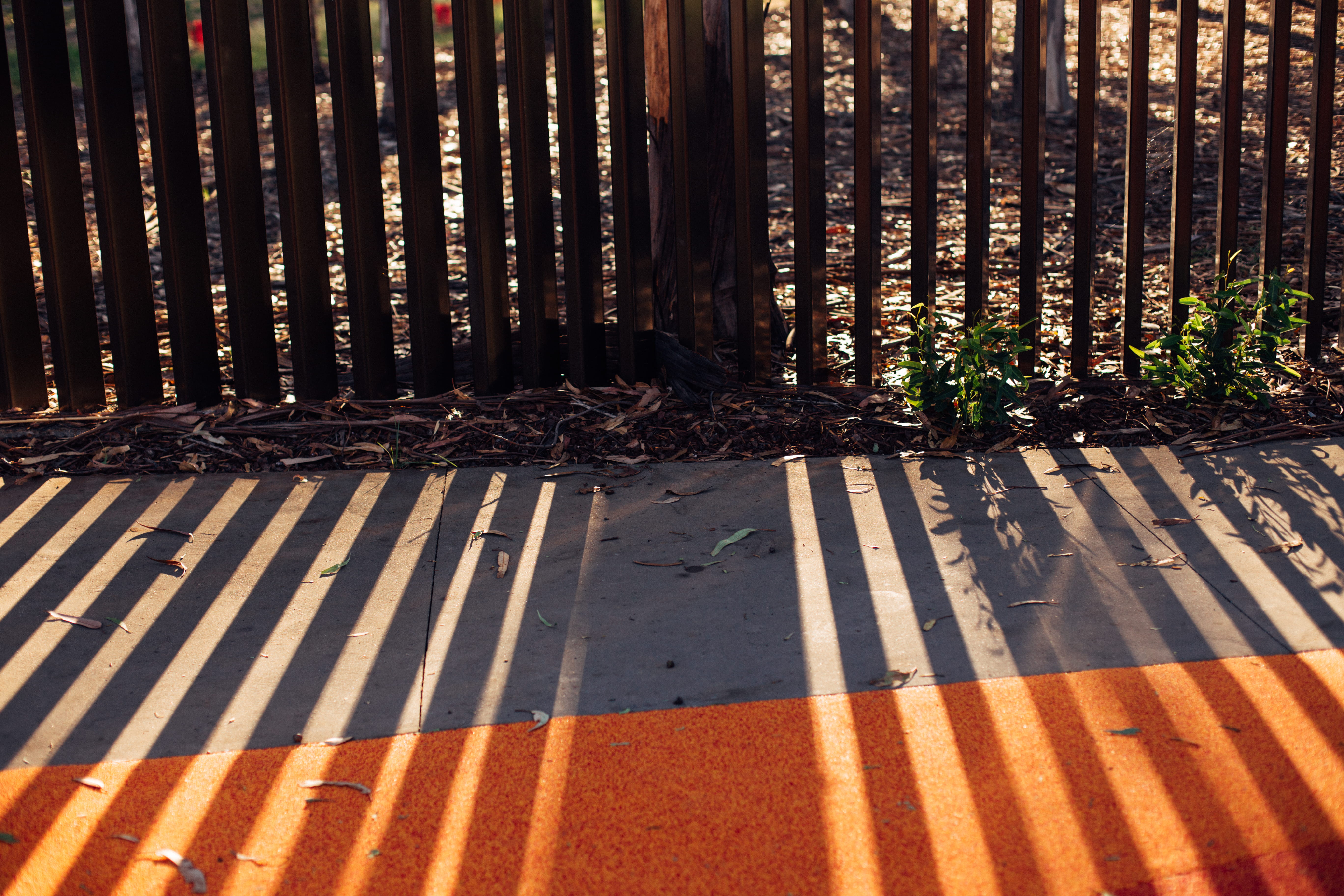 shadows, pattern, lines, afternoon, light, no people, nature