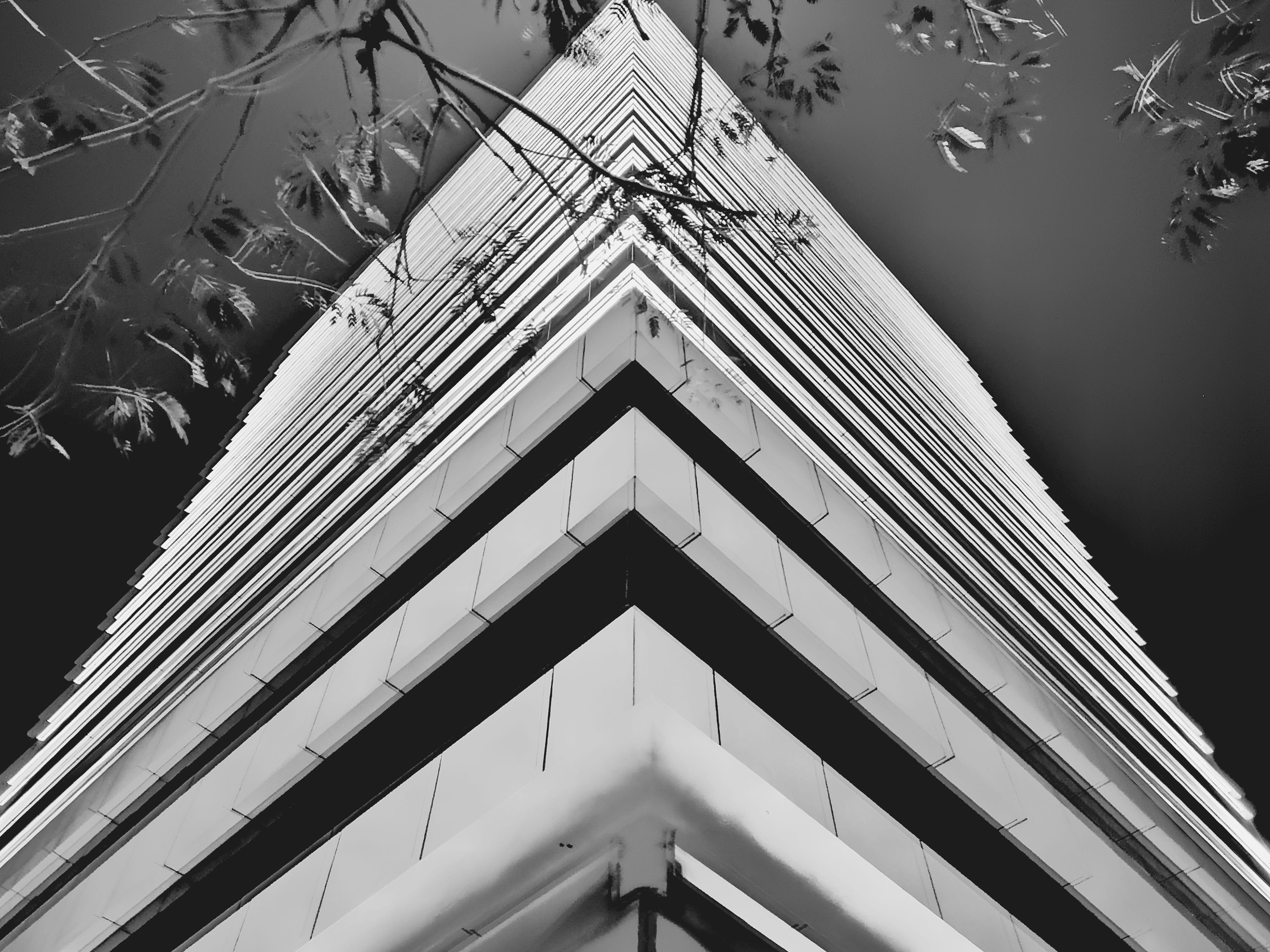 architecture, black and white, built structure, low angle view