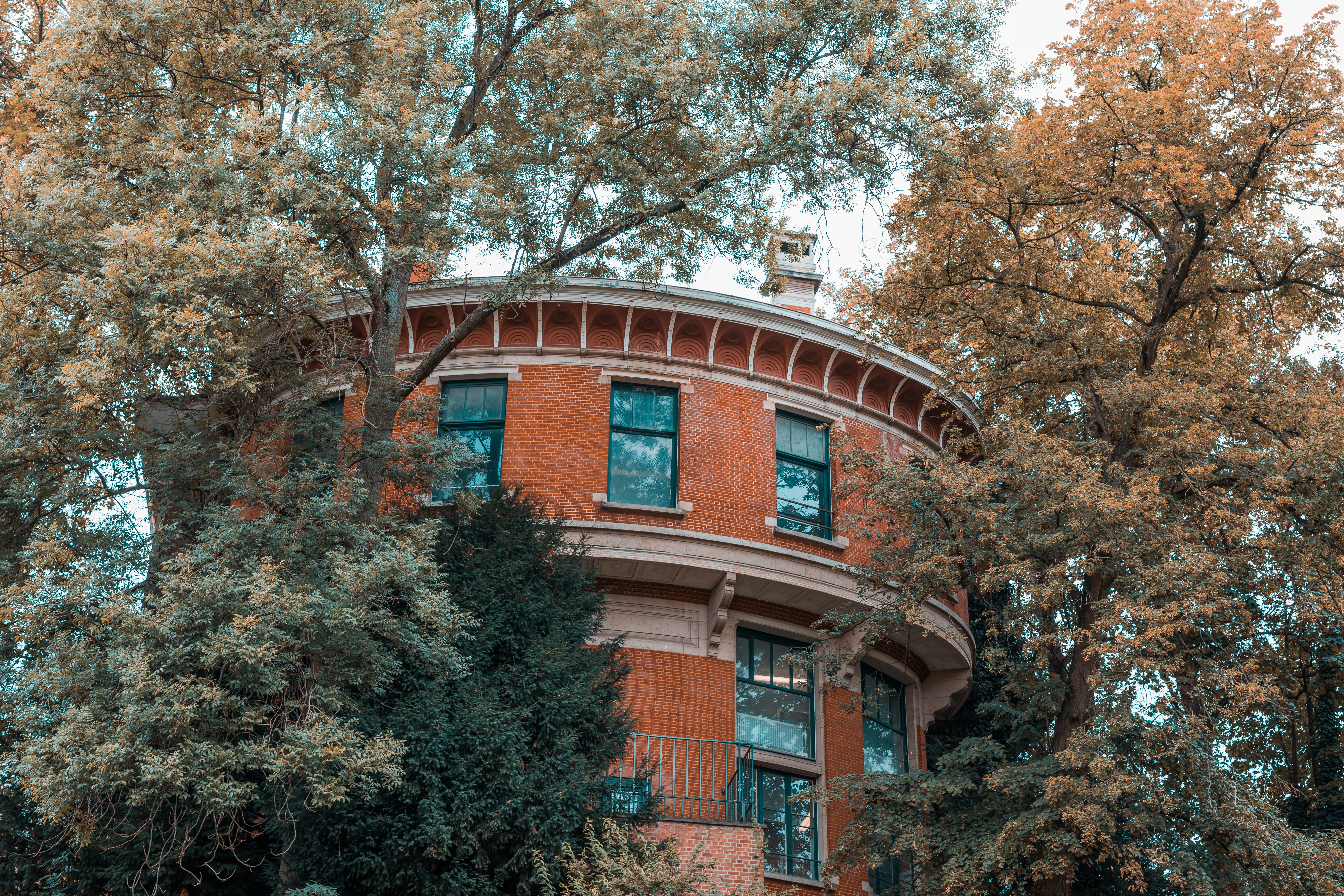 belgium, tree, plant, built structure, architecture, low angle view