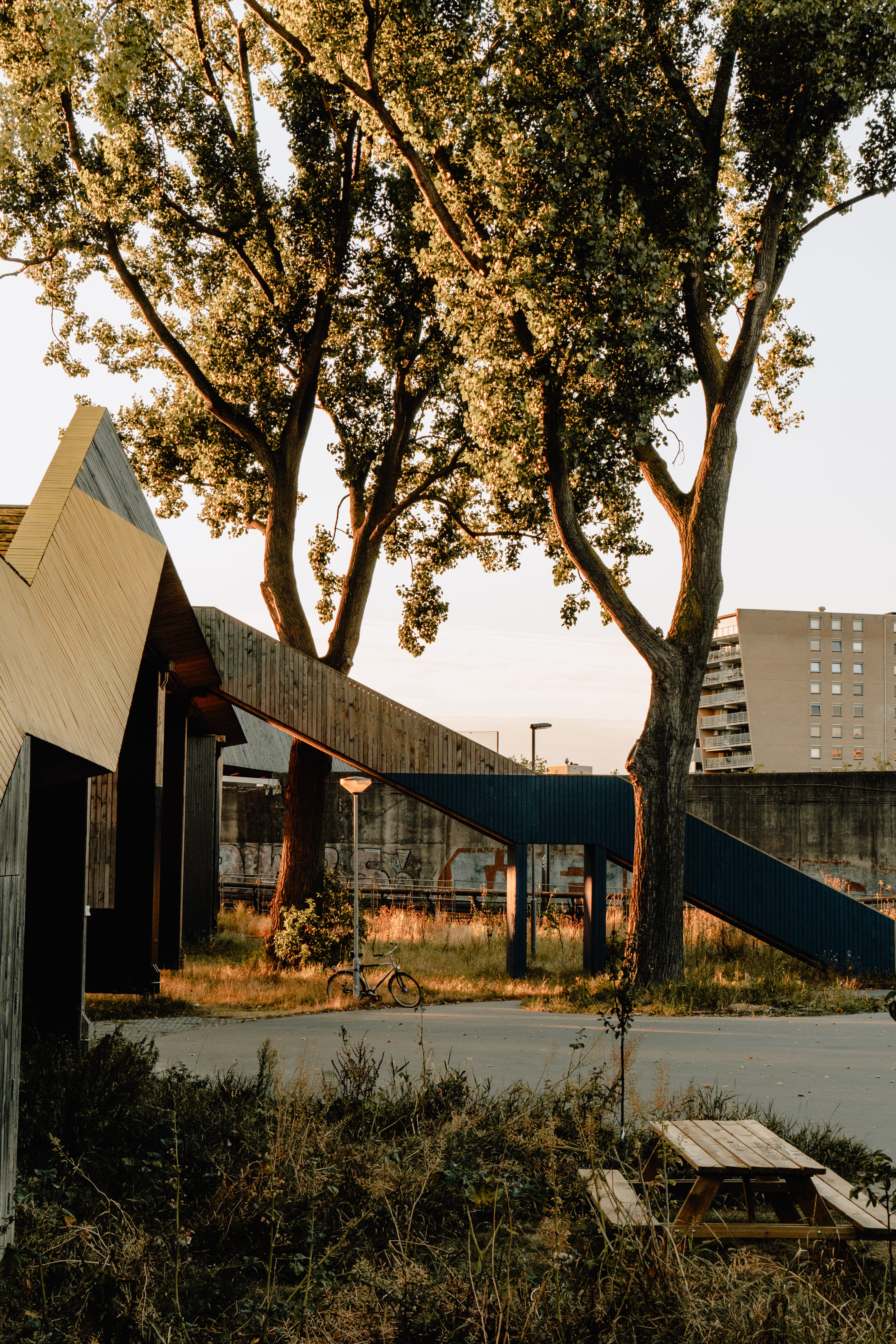 architecture, built structure, tree, plant, building exterior