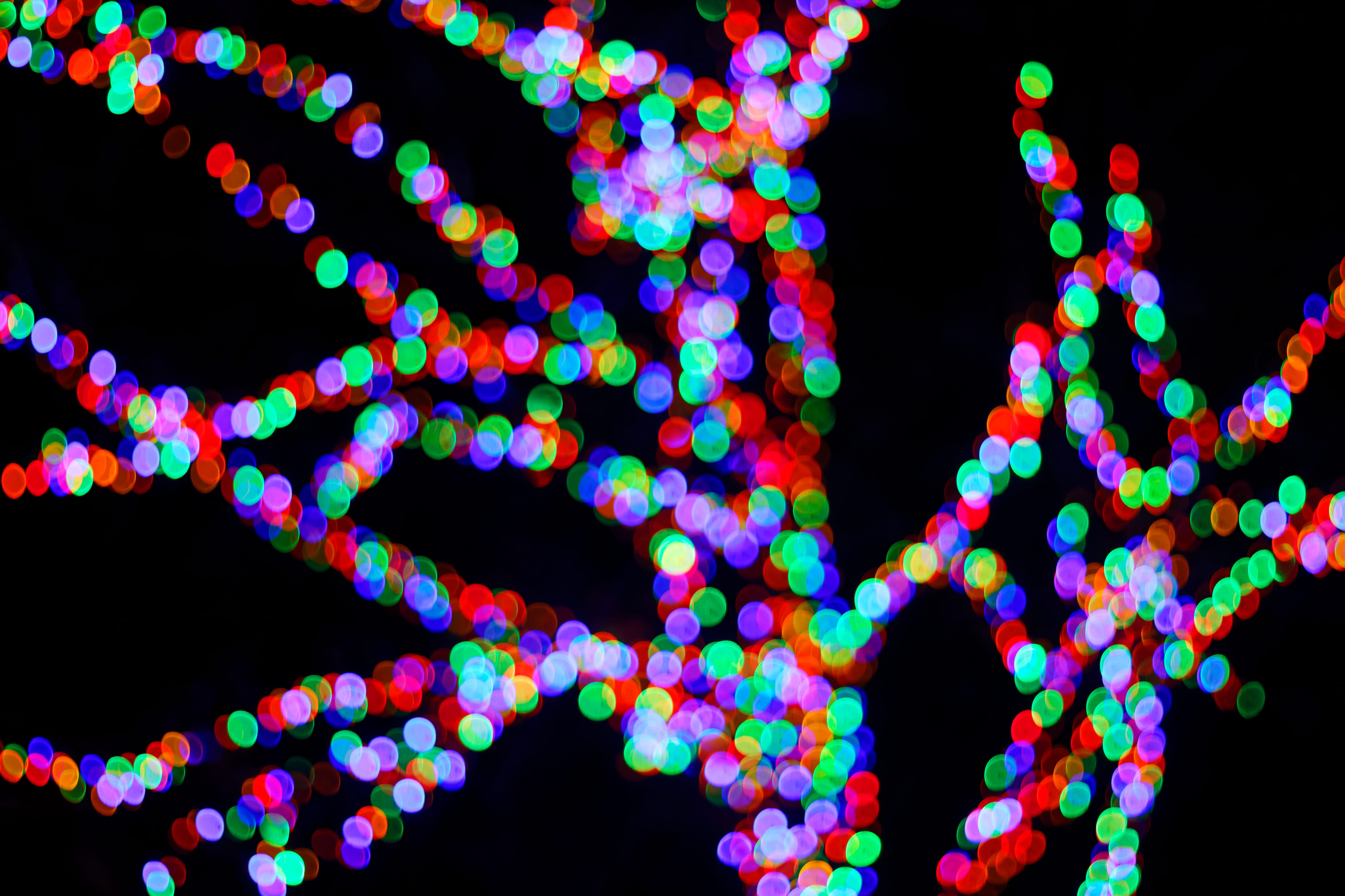 bokeh lights], multi colored, illuminated, black background, decoration