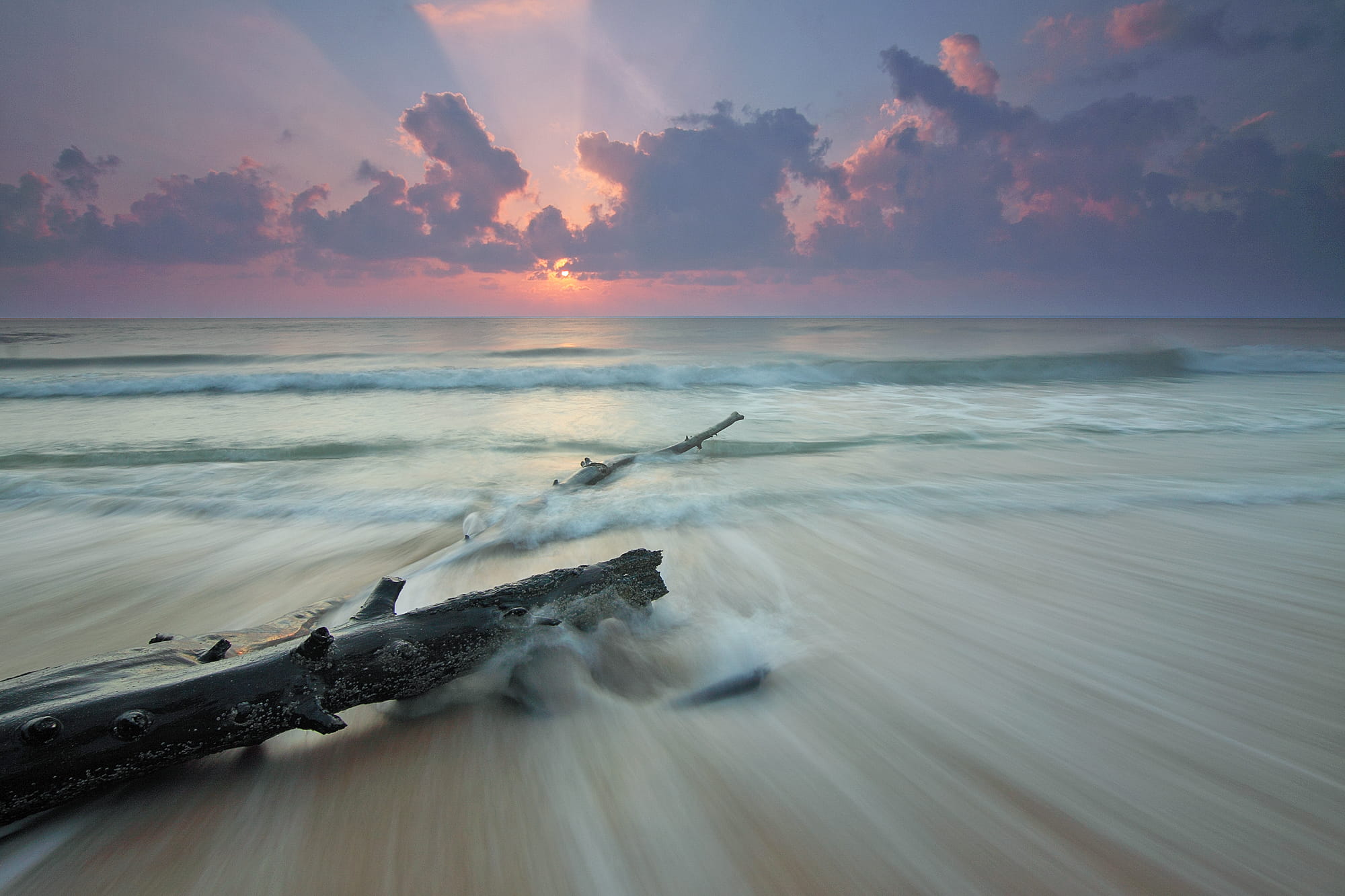 Brown Tree Log on White Waves, beach, clouds, dawn, horizon, ocean