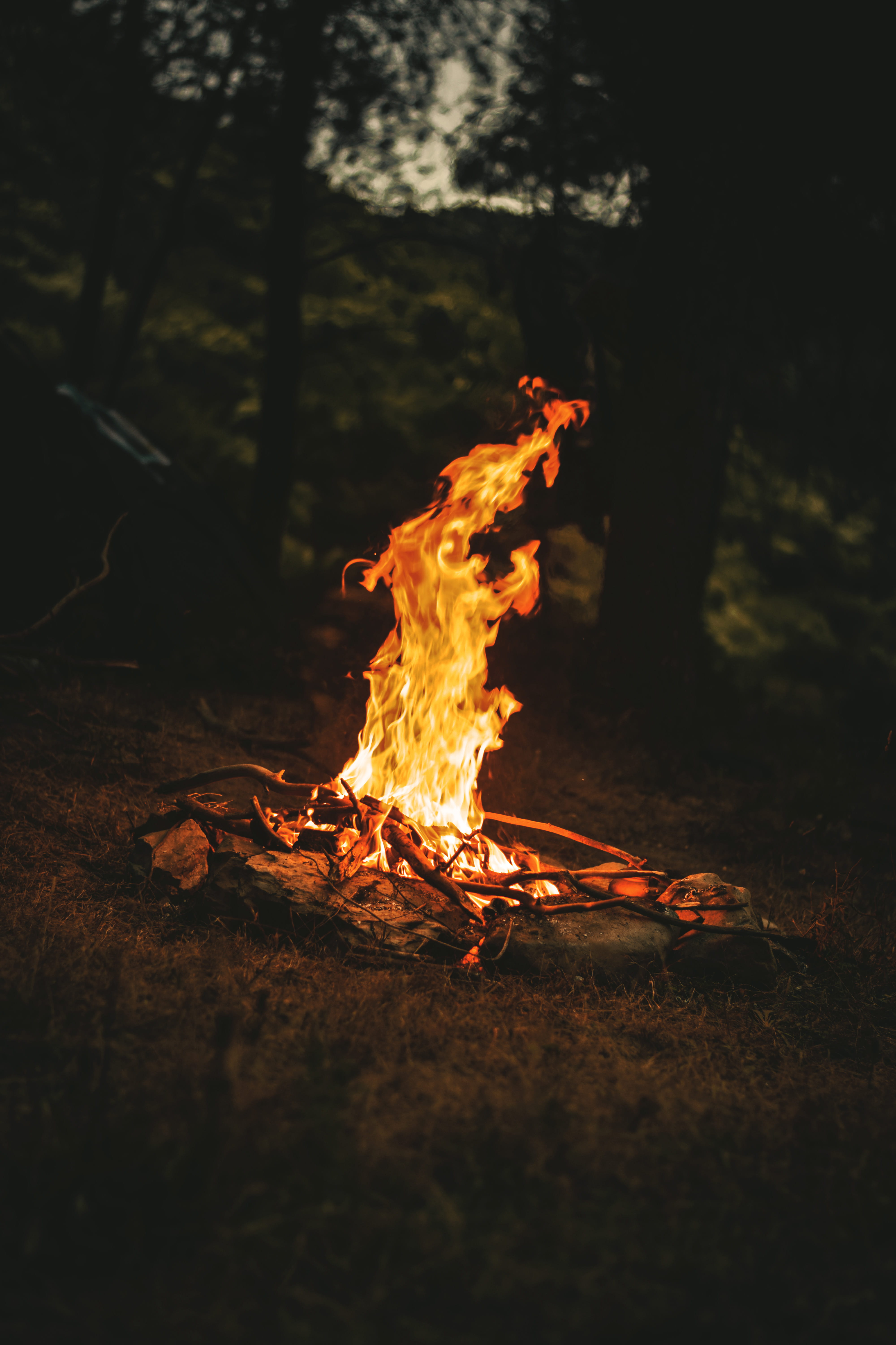 Free download | HD wallpaper: Bonfire, flame, heat, hot ...