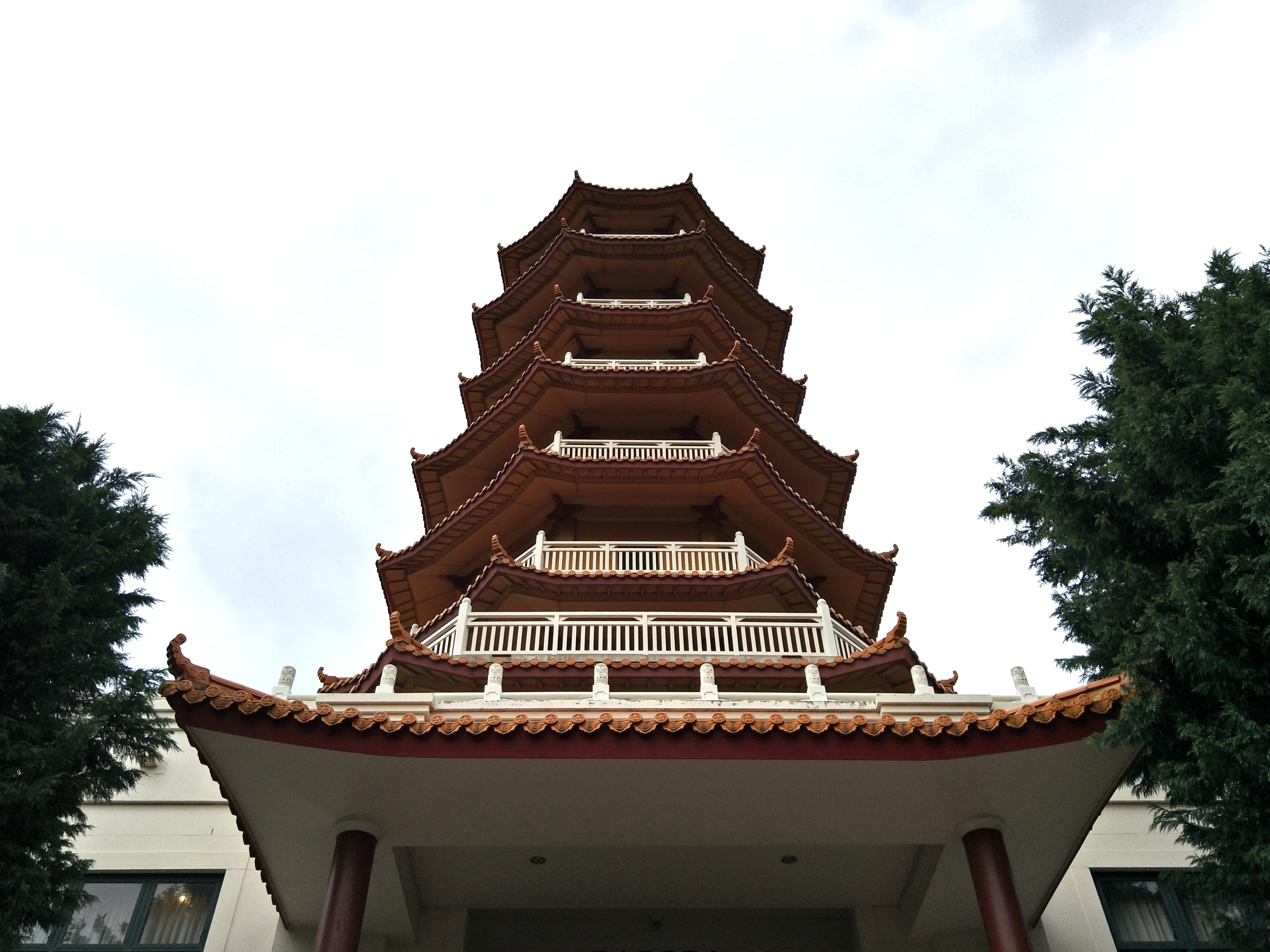 australia, built structure, architecture, tree, low angle view