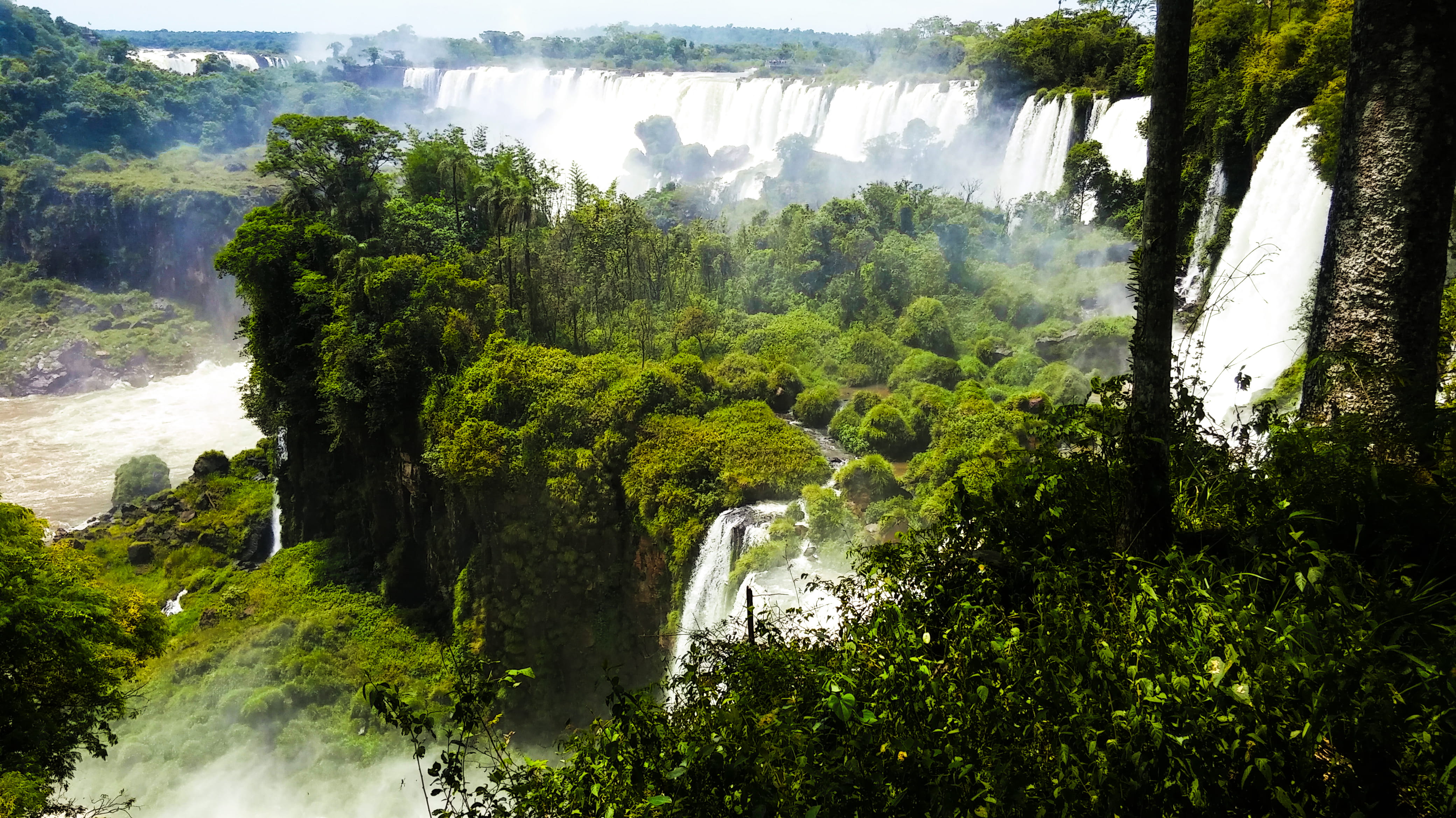 Trees Beside Waterfalls, daylight, daytime, environment, flow